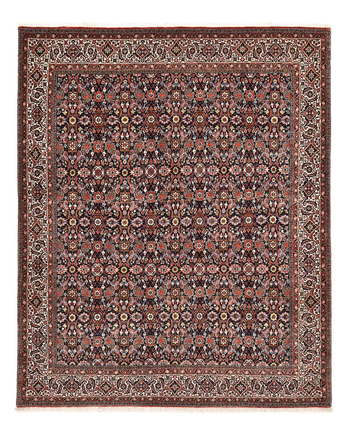 Bidjar Teppich 250x203cm - Perserteppich
