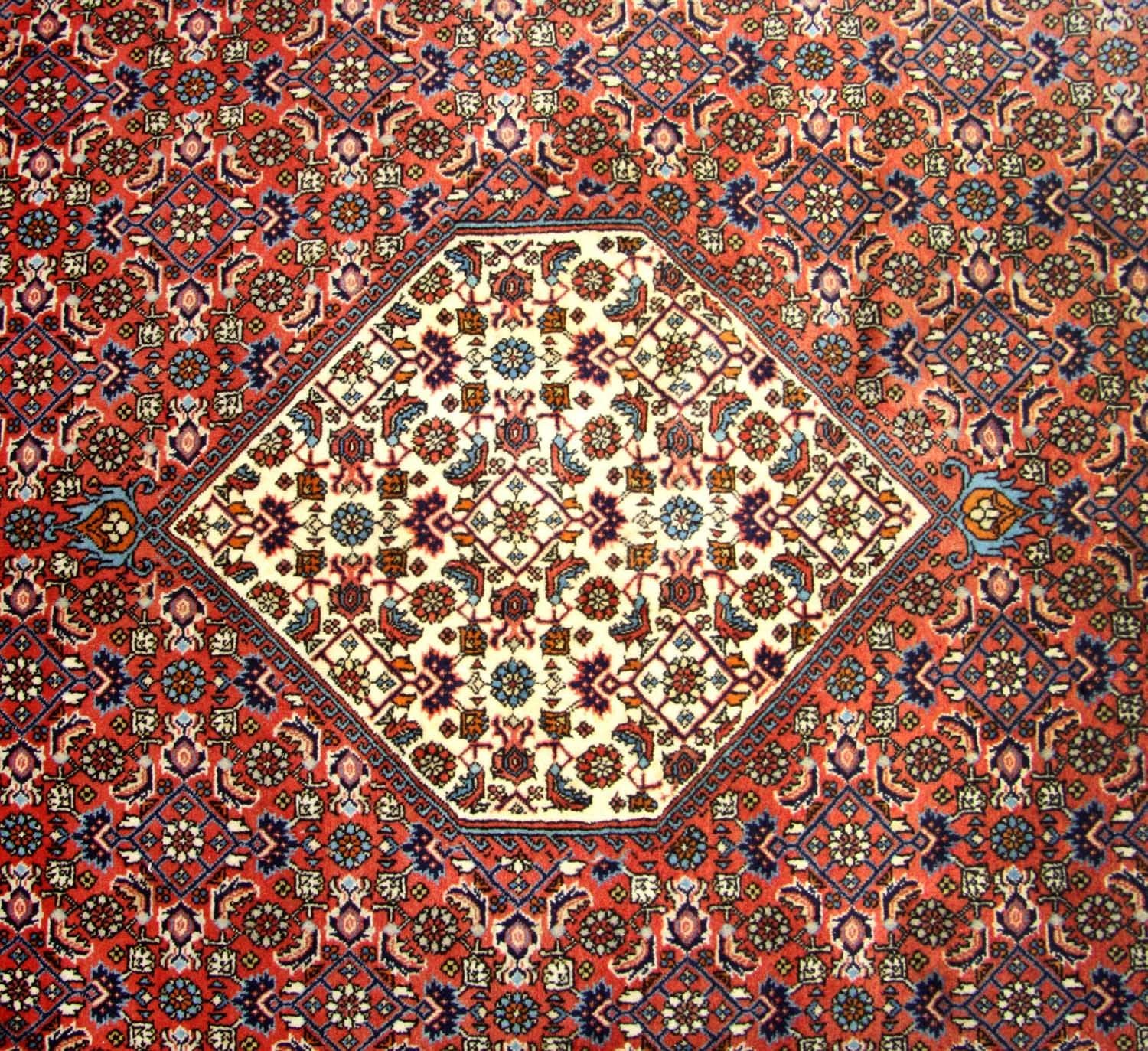 Perserteppich - Bidjar 260 x 247 cm - braun - Image 2
