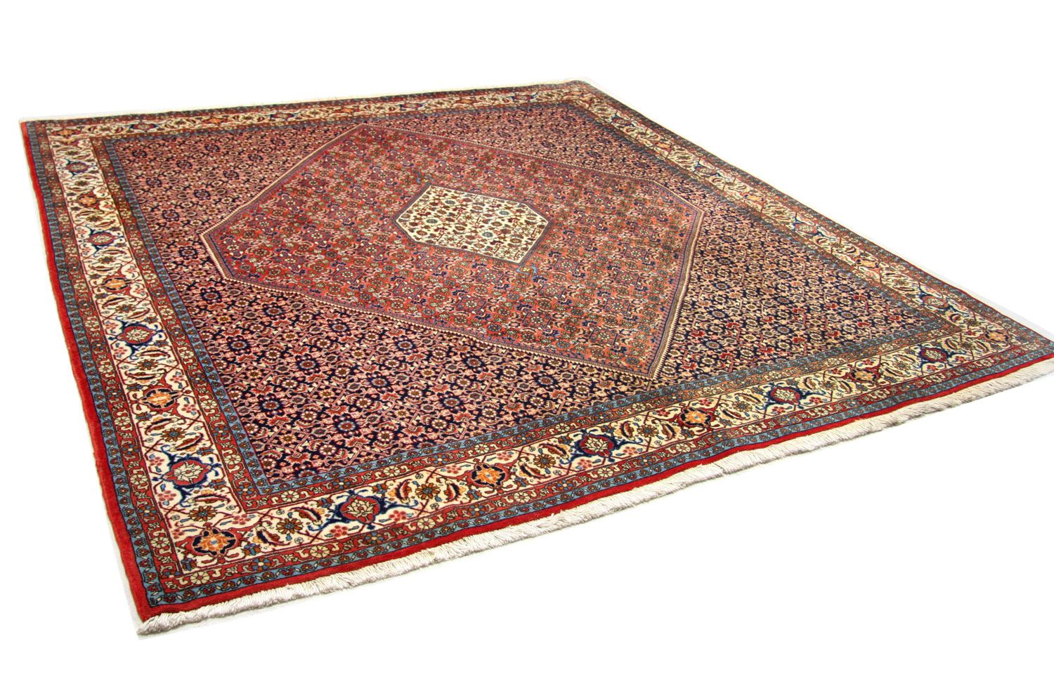 Perserteppich - Bidjar 260 x 247 cm - braun - Image 4