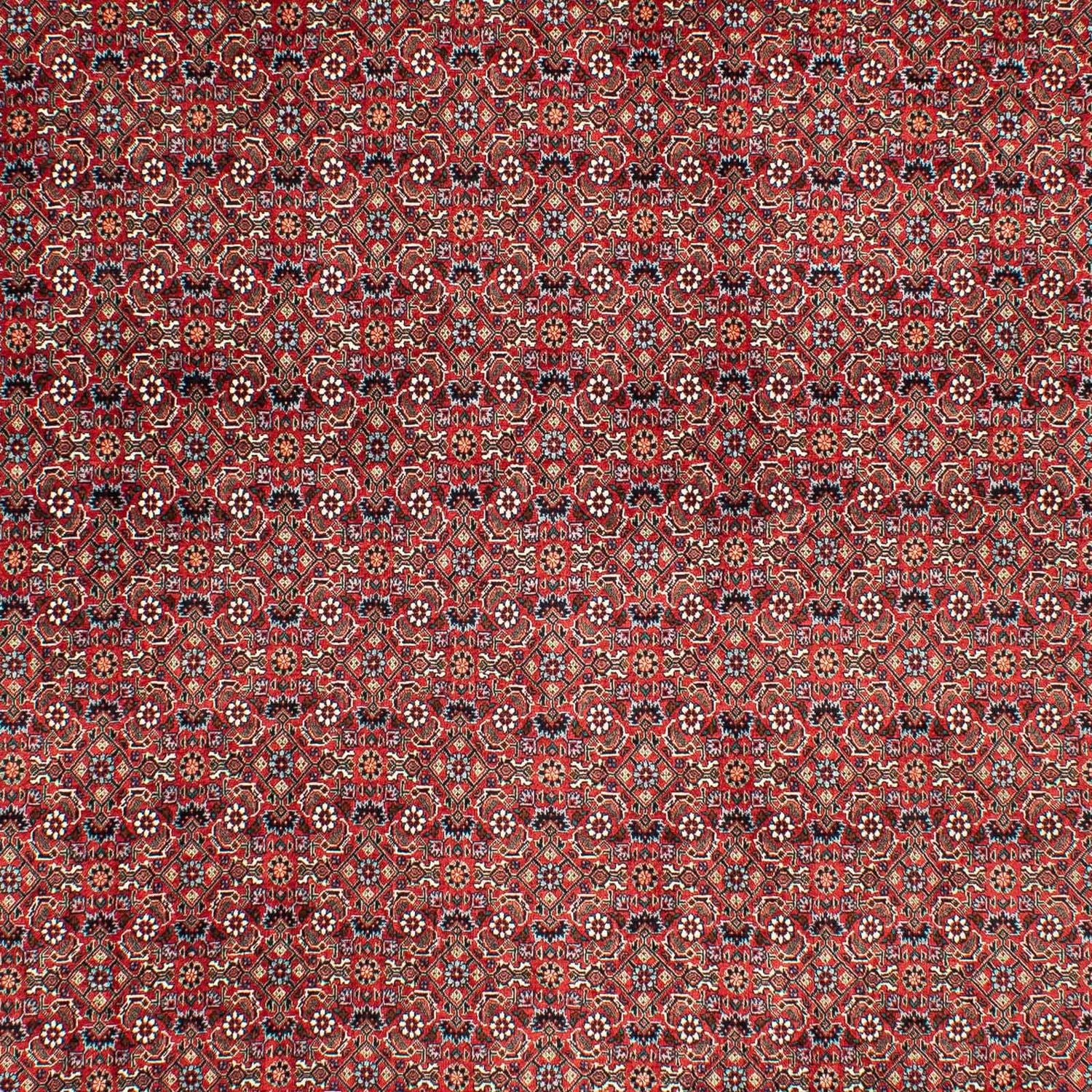 Bidjar Teppich 290x203cm - Perserteppich - Image 2