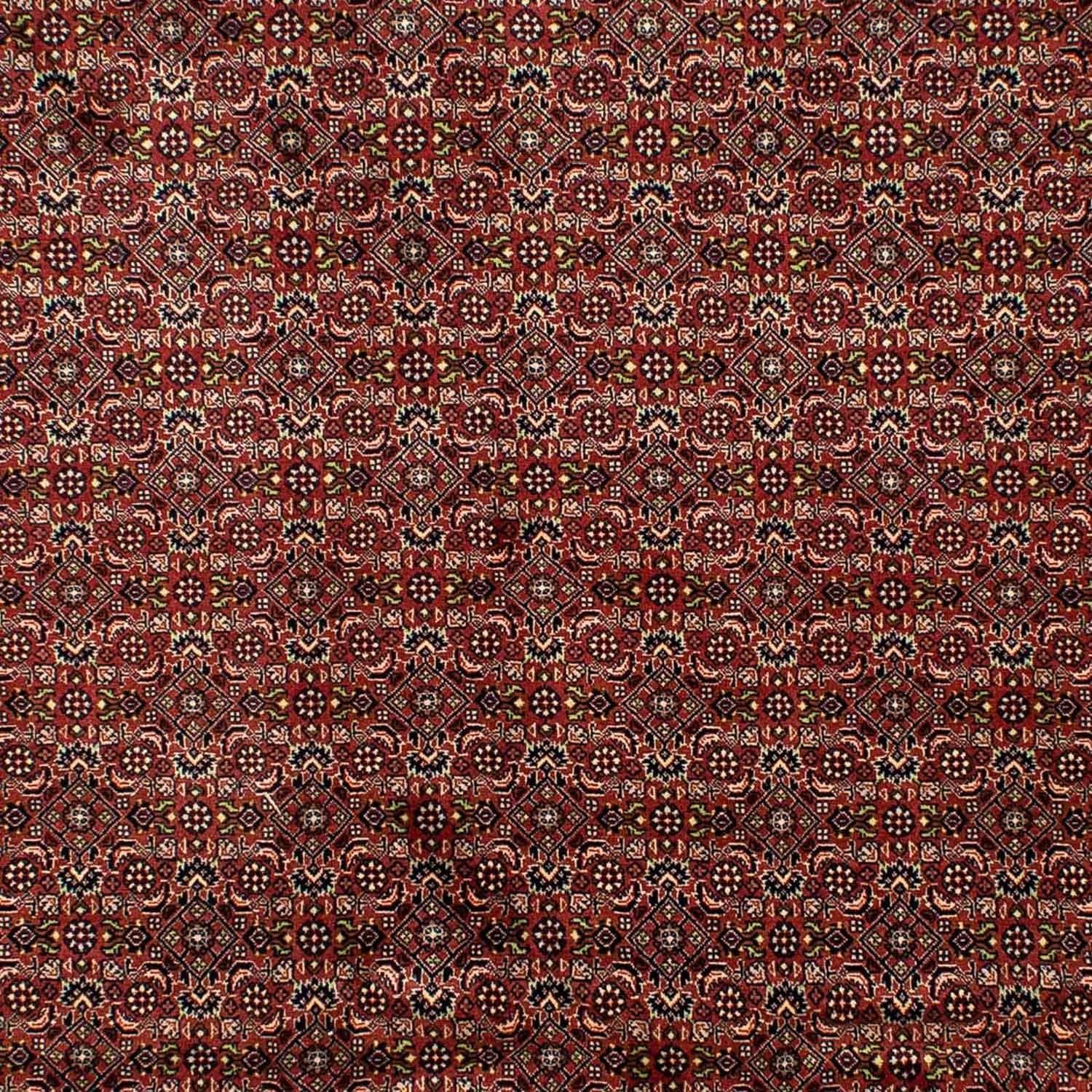 Bidjar Teppich 298x202cm - Perserteppich - Image 2