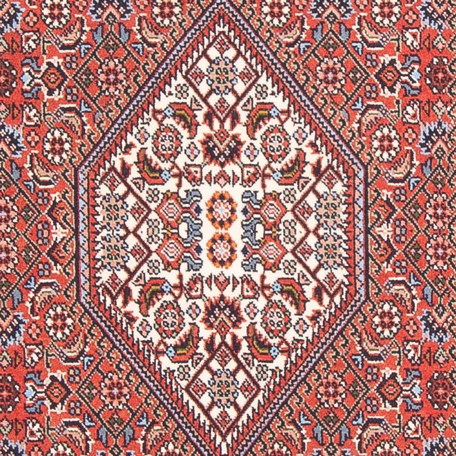 Bidjar - Bukan Teppich  - Perserteppich - Image 2