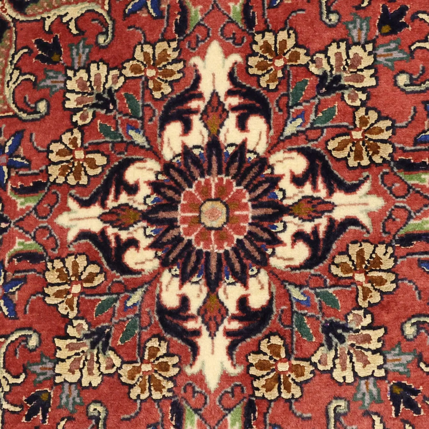 Bidjar Teppich 148x91cm - Perserteppich - Image 2
