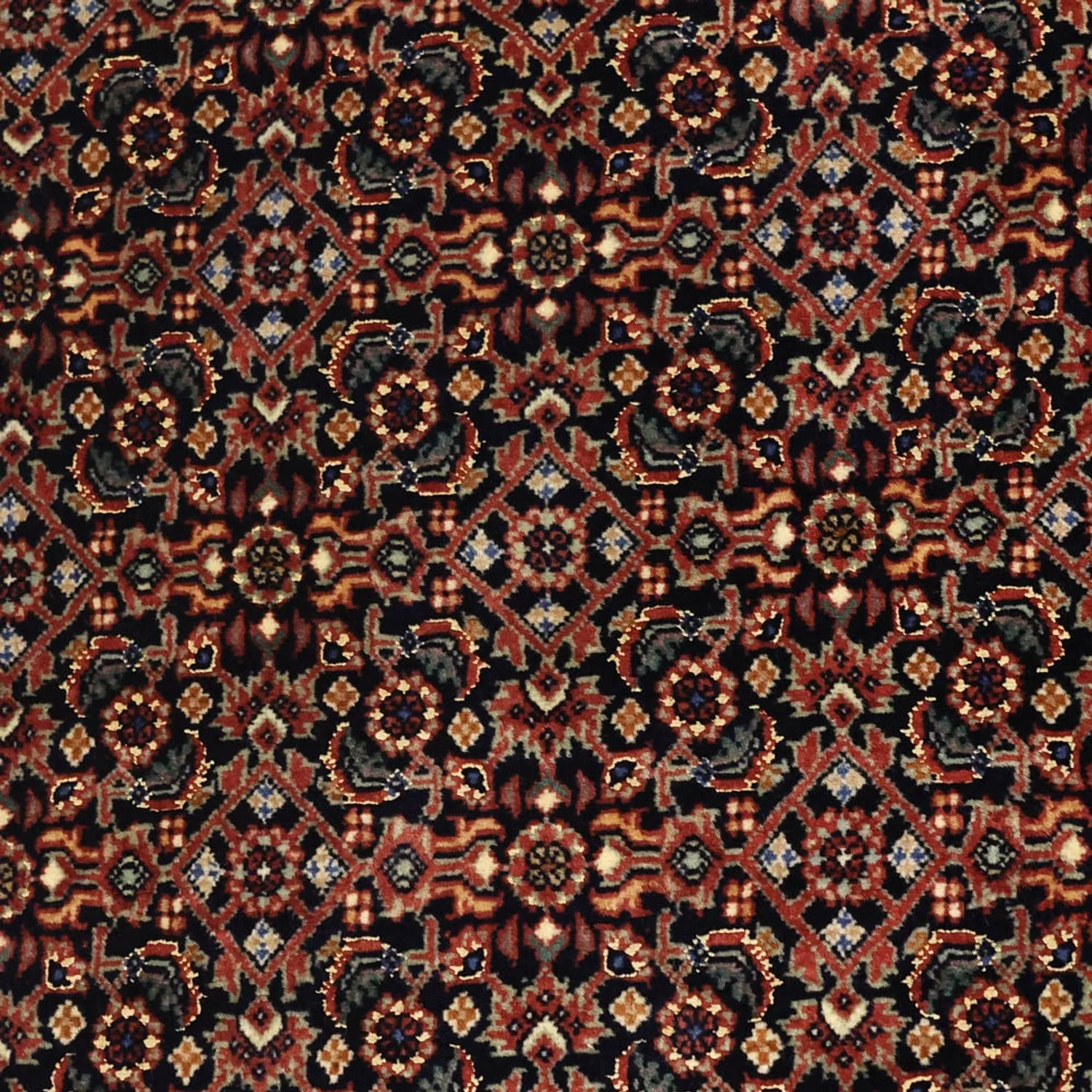 Bidjar Teppich 150x91cm - Perserteppich - Image 2