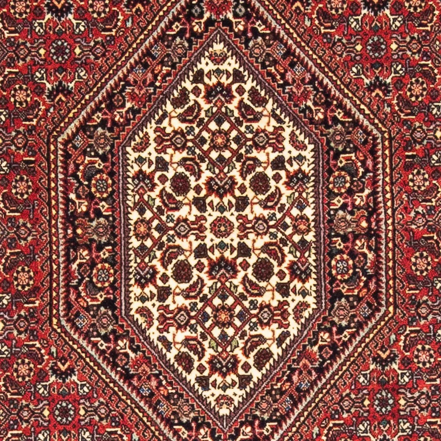 Perserteppich - Bidjar - Royal 153 x 89 cm - rot - Image 2