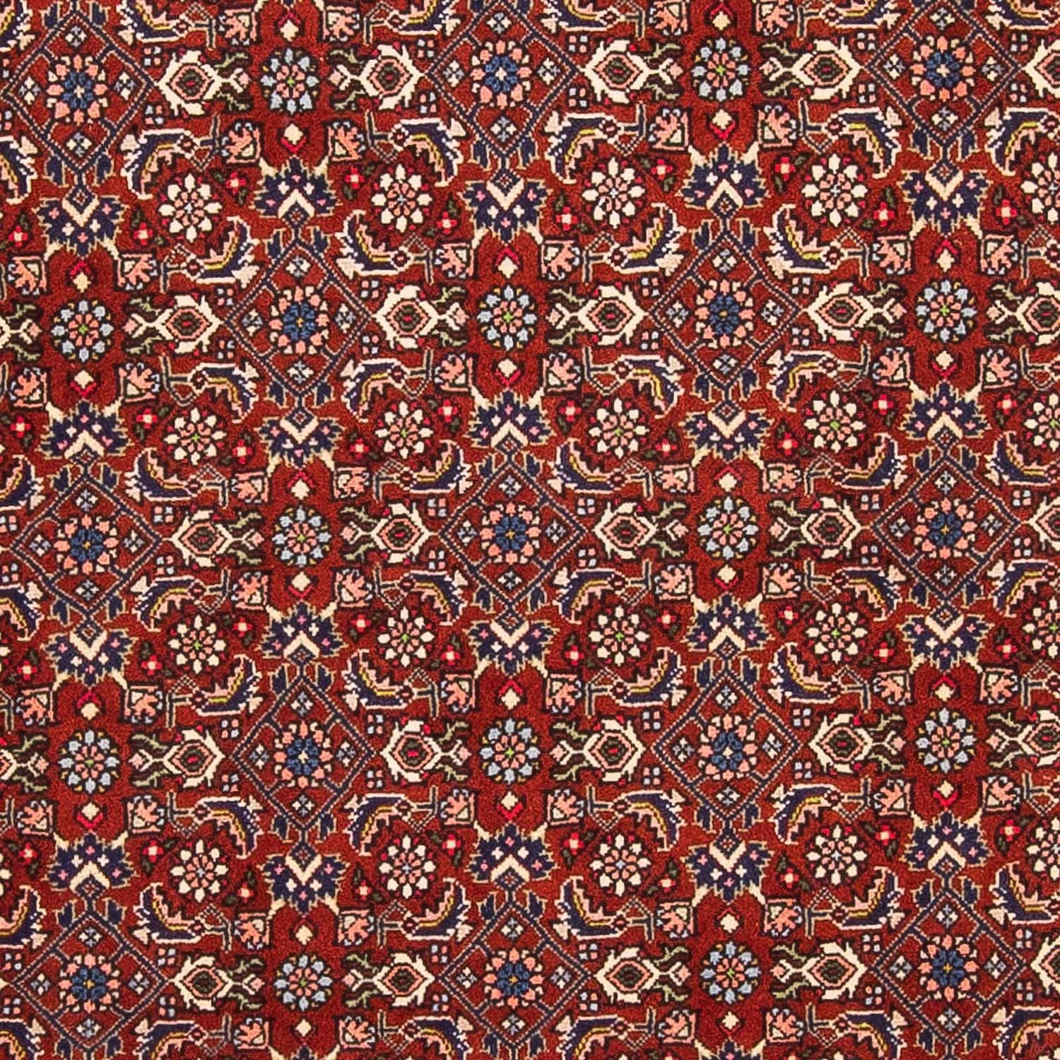 Perserteppich - Bidjar - Royal 160 x 108 cm - dunkelrot - Image 2
