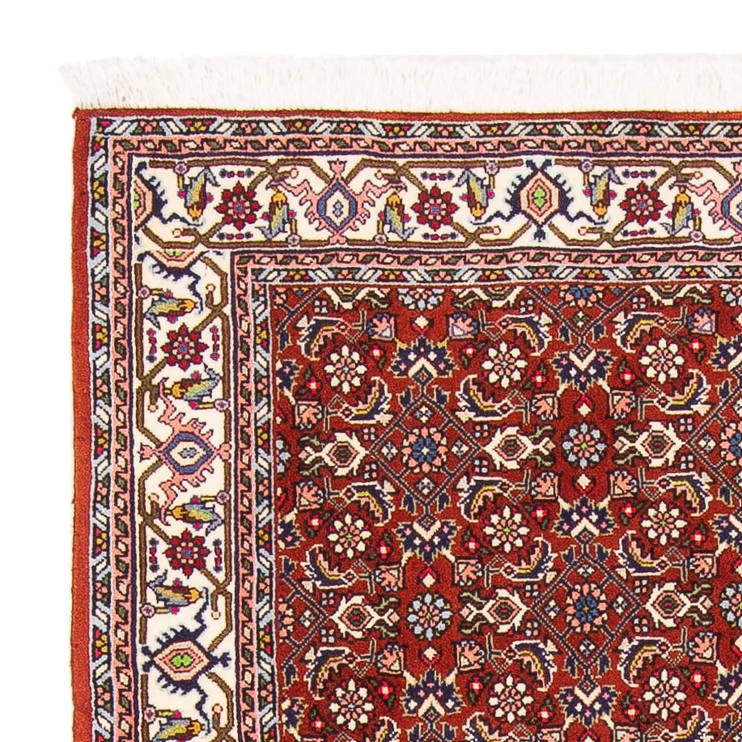 Perserteppich - Bidjar - Royal 160 x 108 cm - dunkelrot - Image 3