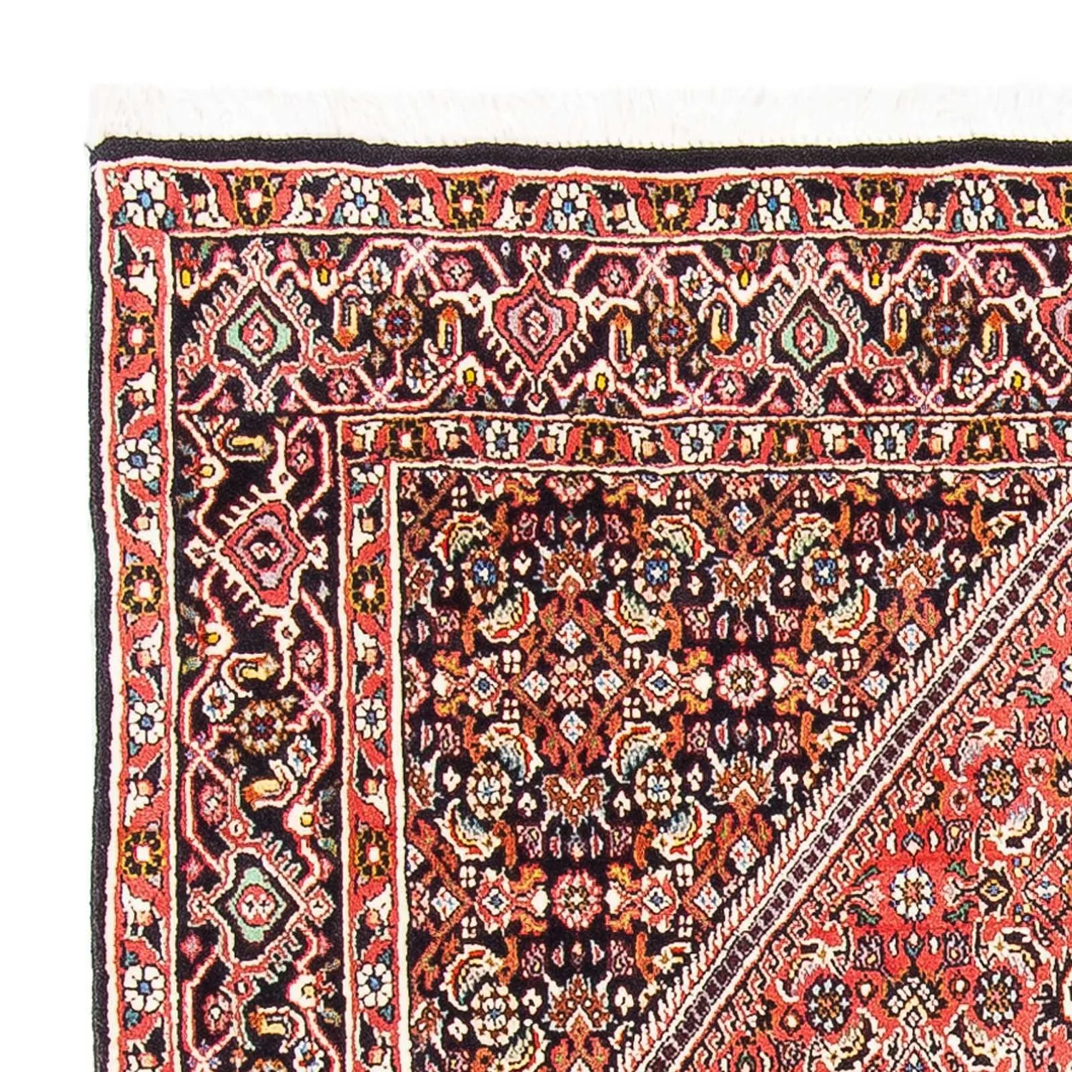 Perserteppich - Bidjar - Royal 160 x 108 cm - hellrot - Image 3