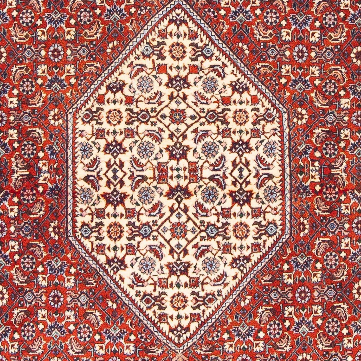 Perserteppich - Bidjar - Royal 168 x 110 cm - rot - Image 2