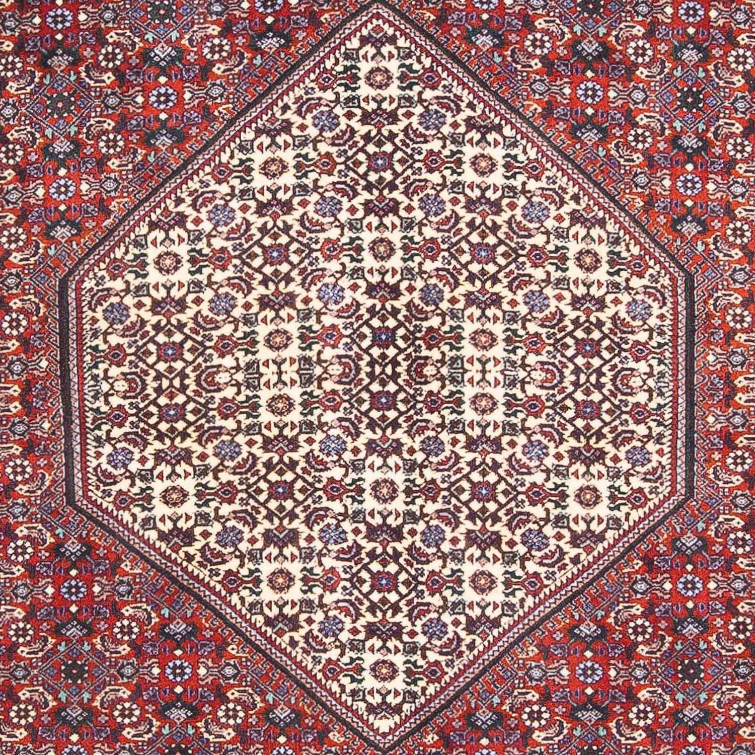 Bidjar Teppich 170x110cm - Perserteppich - Image 2