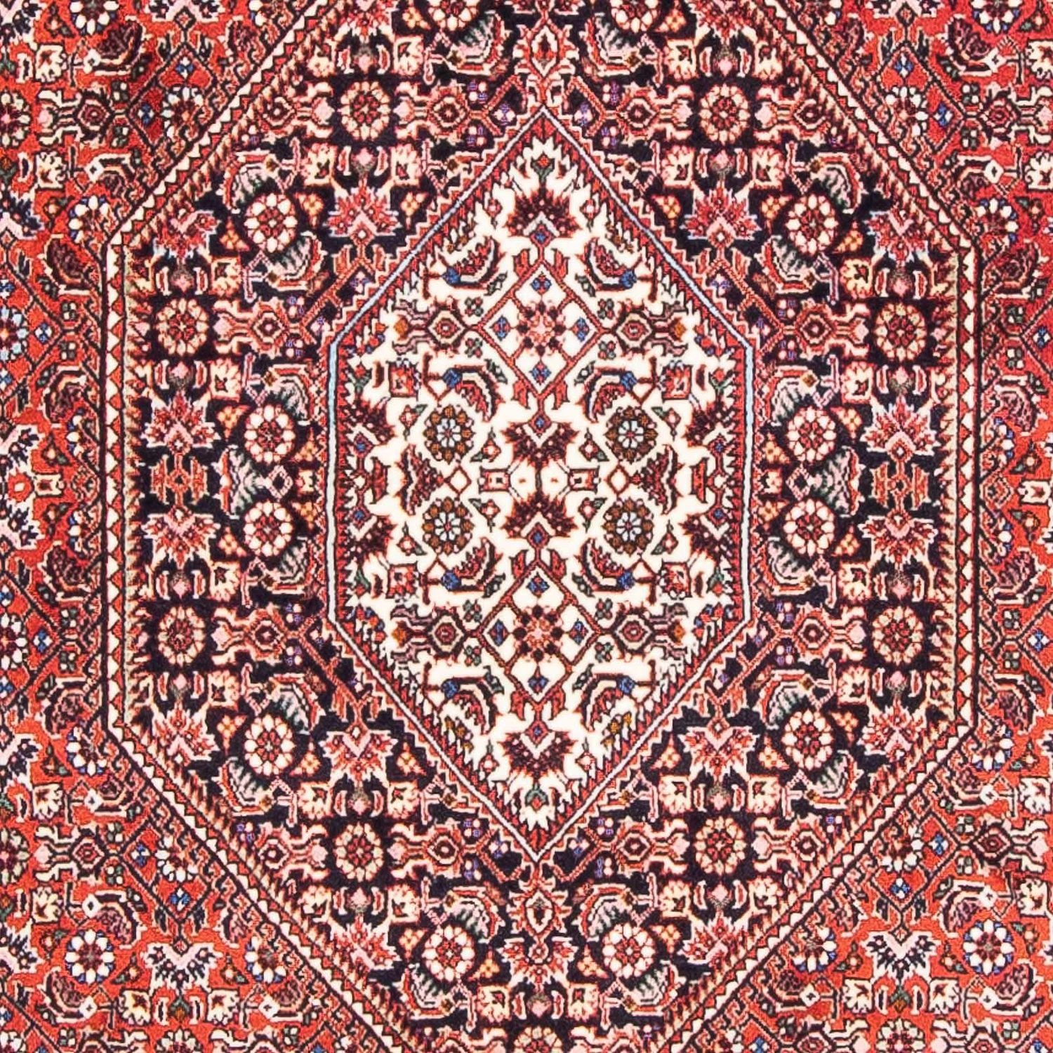 Bidjar Teppich 170x110cm - Perserteppich - Image 2