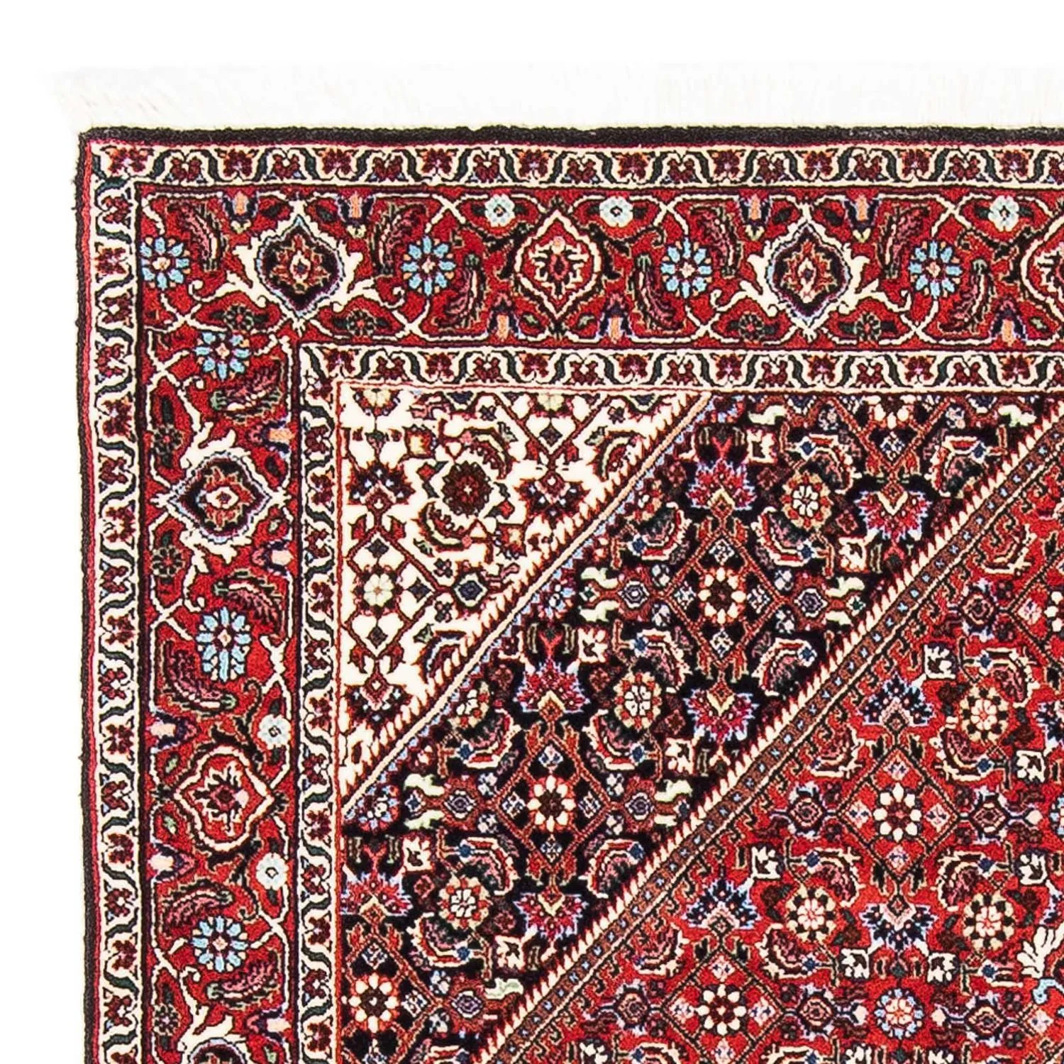 Perserteppich - Bidjar - Royal 173 x 111 cm - hellrot - Image 3