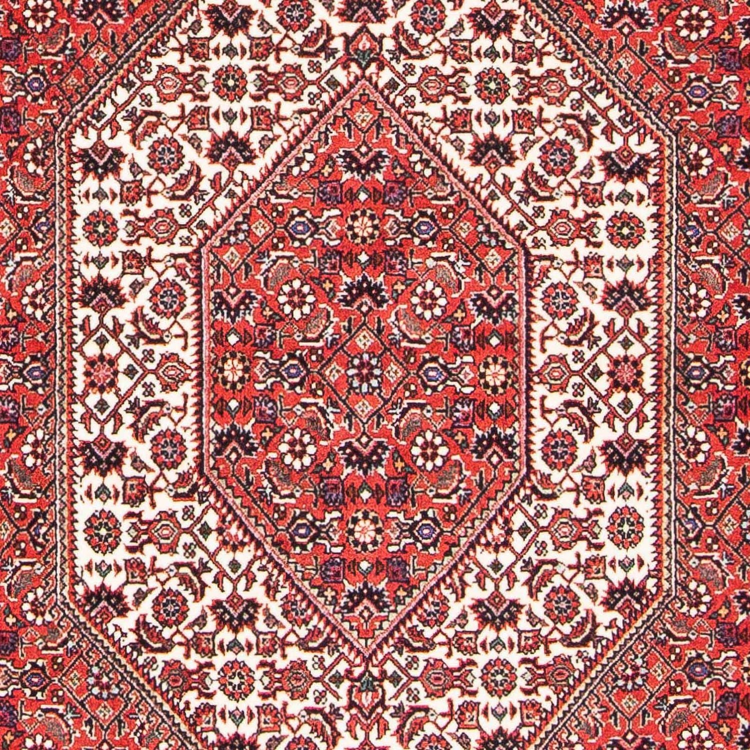 Bidjar Teppich 175x108cm - Perserteppich - Image 2