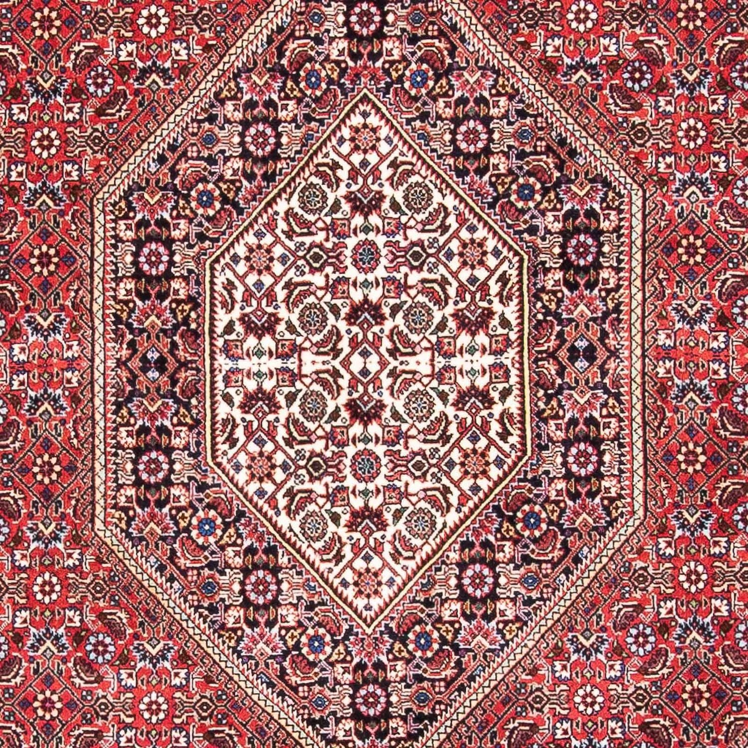 Bidjar Teppich 175x110cm - Perserteppich - Image 2