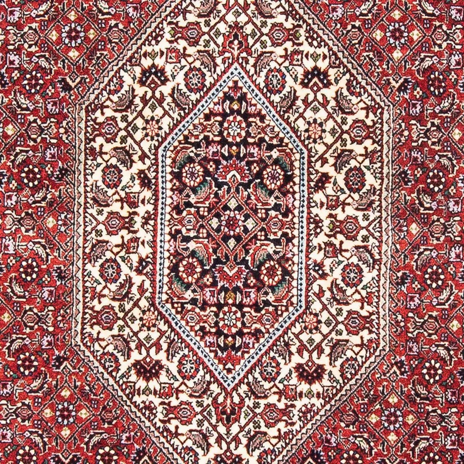 Bidjar Teppich 178x108cm - Perserteppich - Image 2