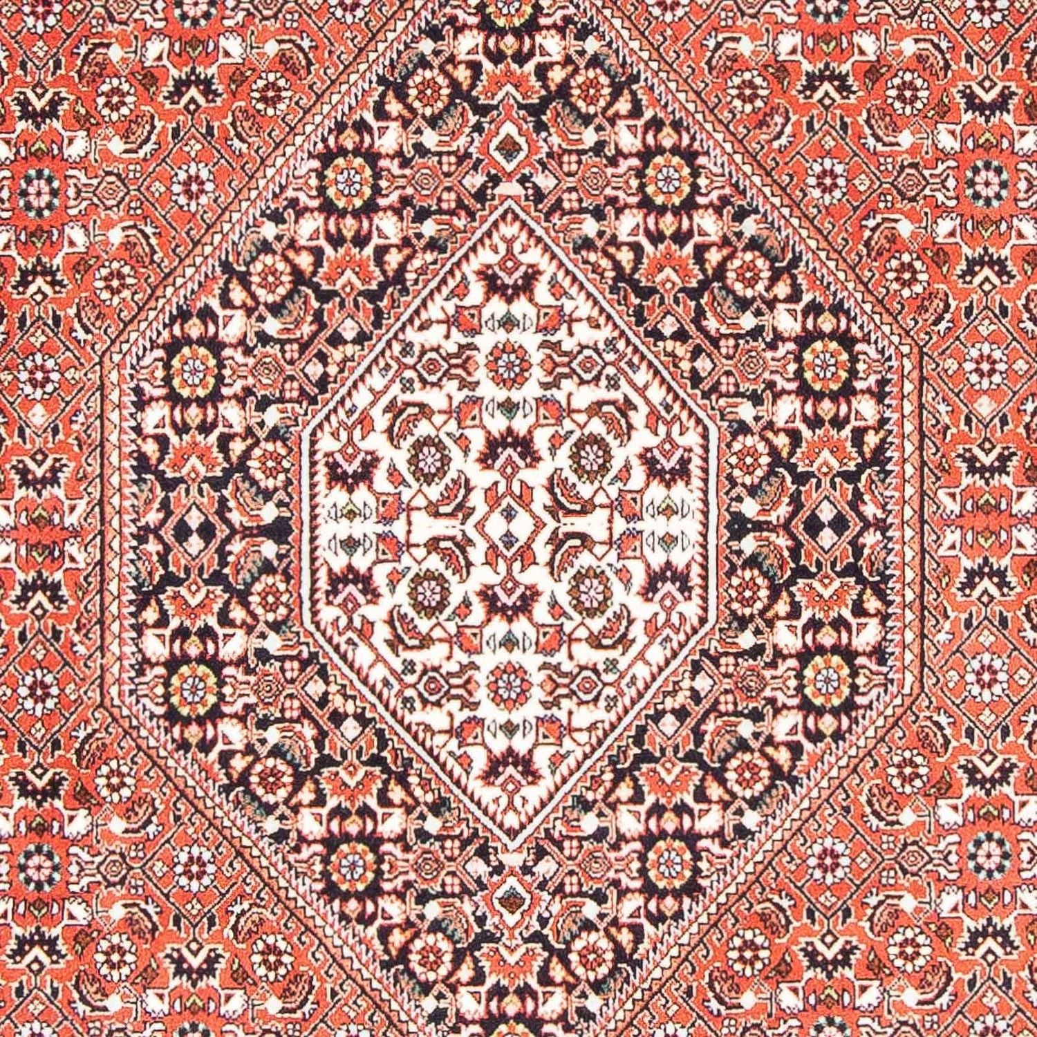Bidjar Teppich 179x111cm - Perserteppich - Image 2