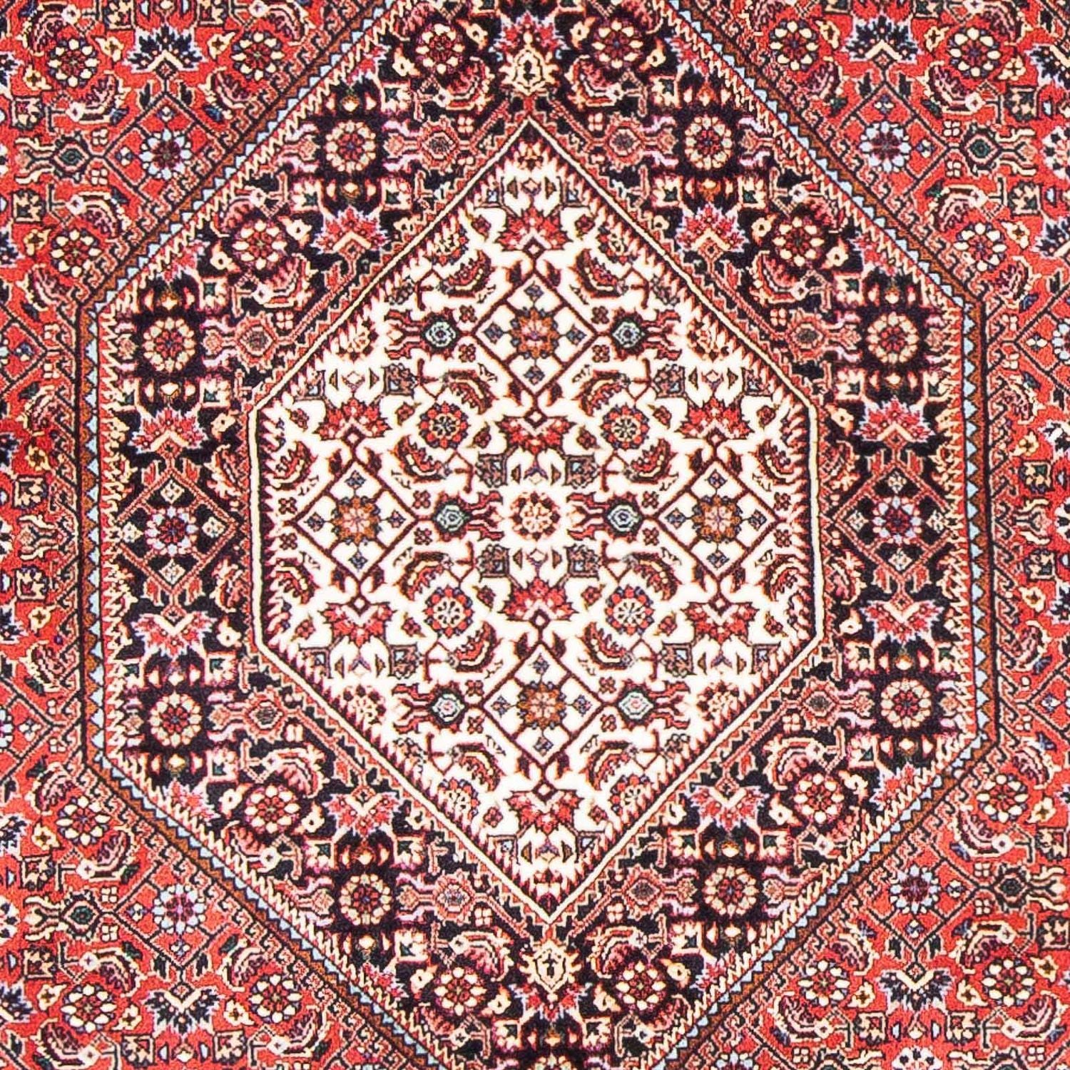 Bidjar Teppich 179x111cm - Perserteppich - Image 2