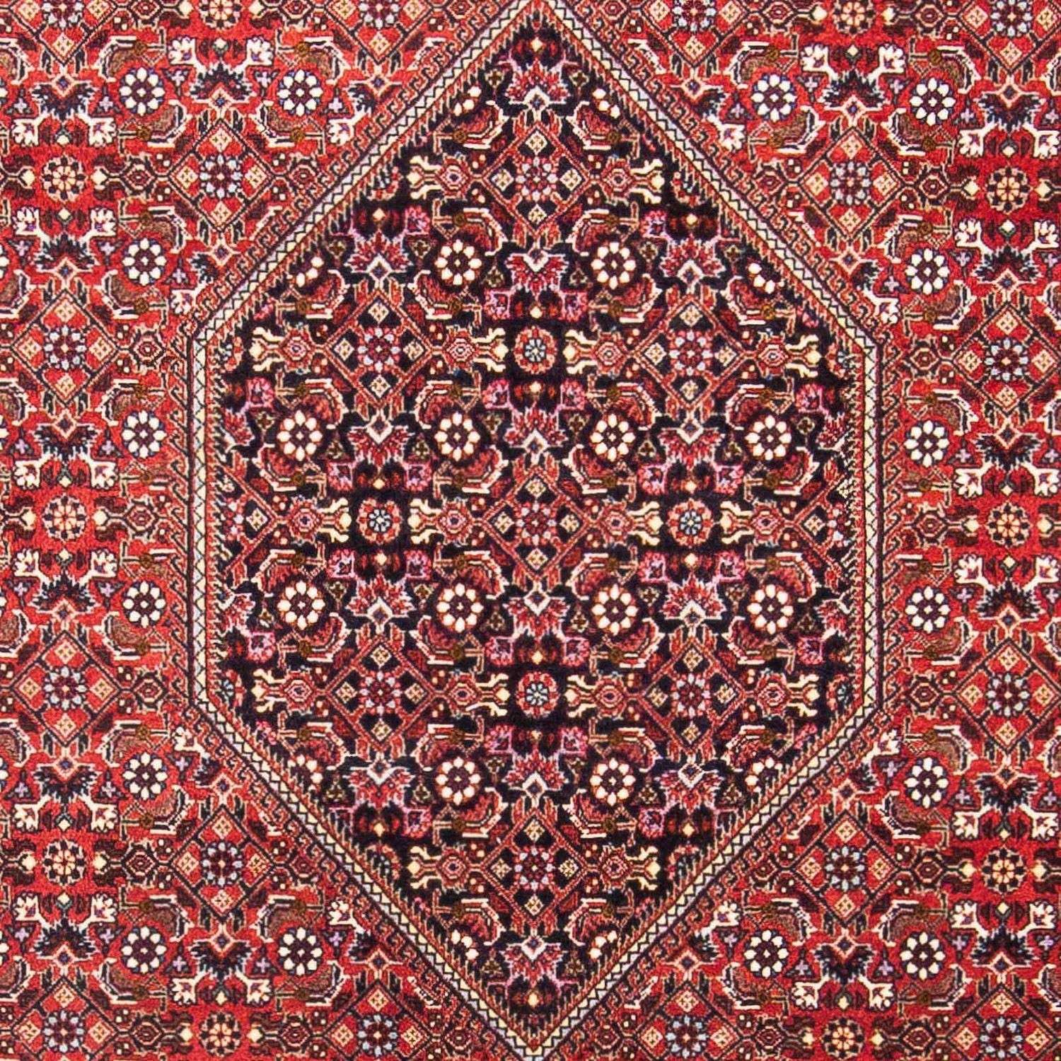 Bidjar Teppich 180x110cm - Perserteppich - Image 2