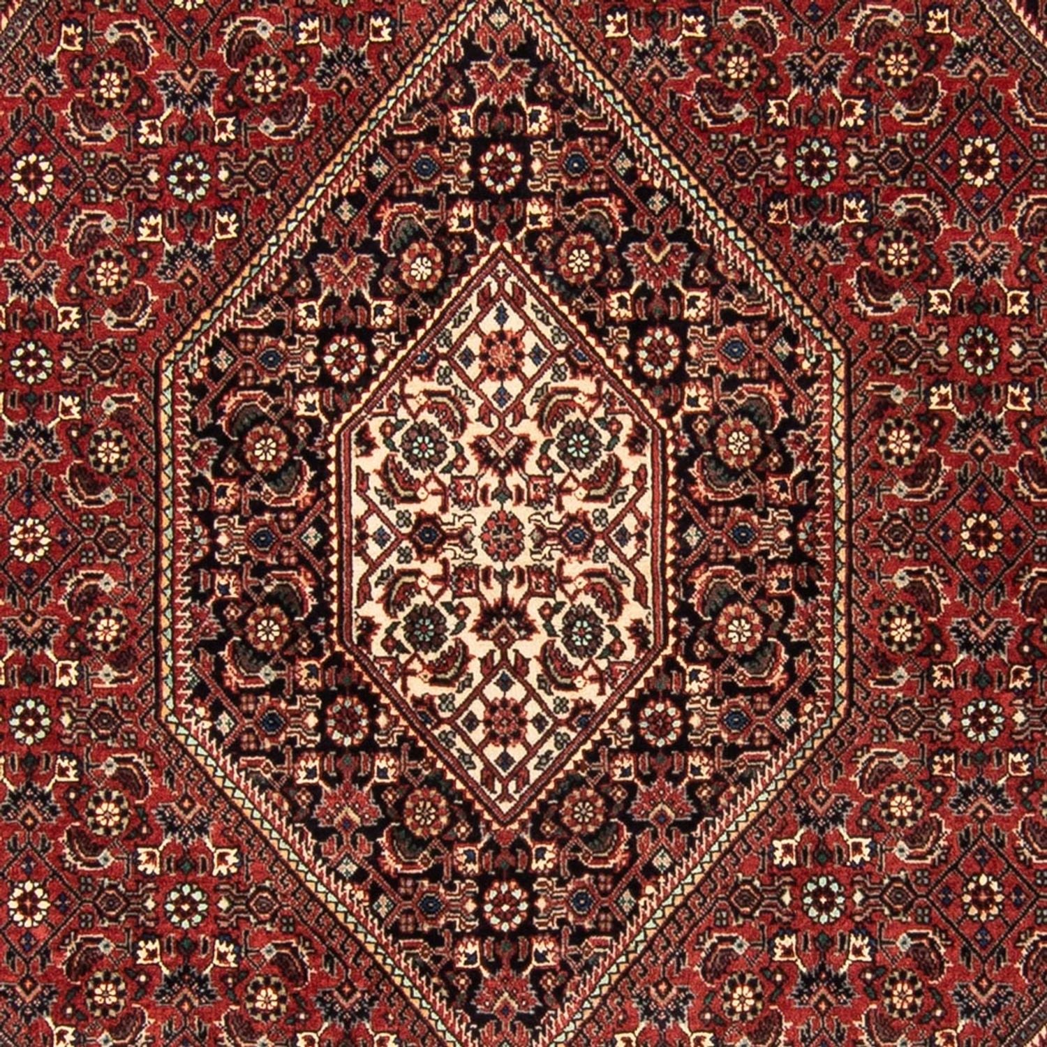 Bidjar - Takab Teppich 181x112cm - Perserteppich - Image 2