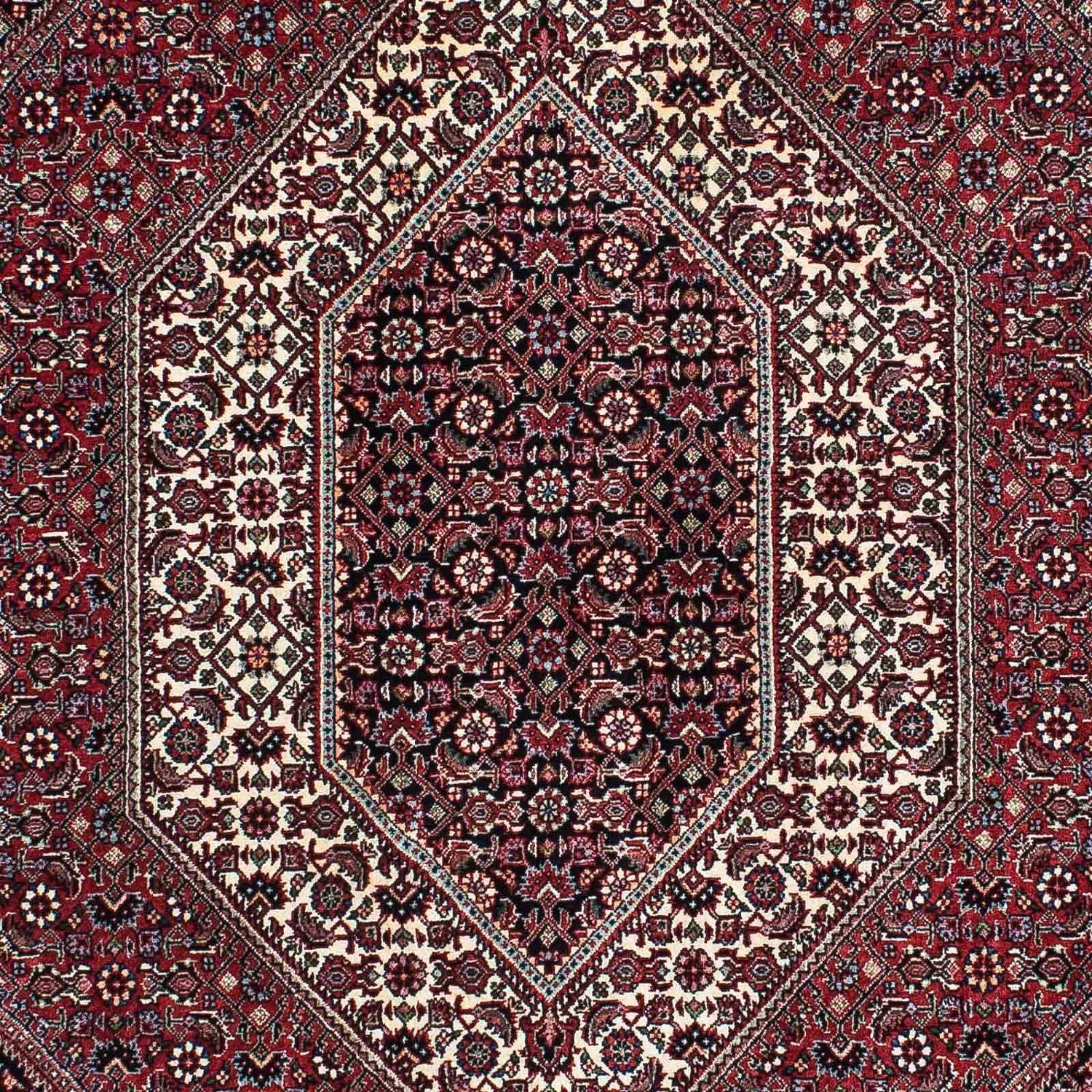 Perserteppich - Bidjar - Royal 195 x 136 cm - hellrot - Image 2