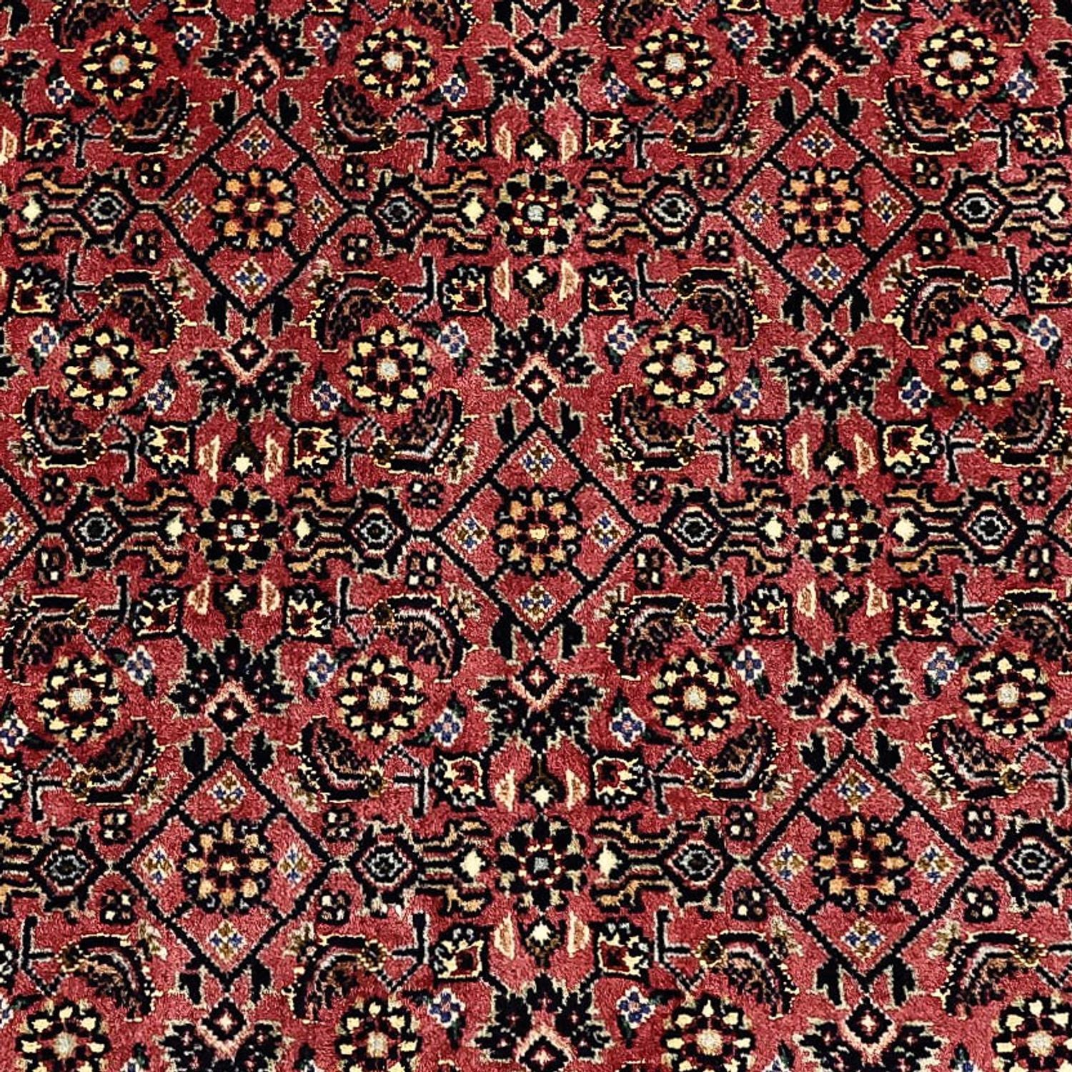 Bidjar Teppich 204x152cm - Perserteppich - Image 2