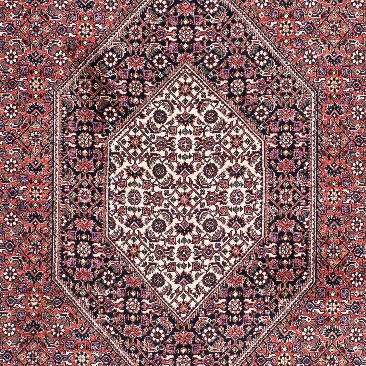 Perserteppich - Bidjar - Royal 219 x 134 cm - hellrot - Image 2