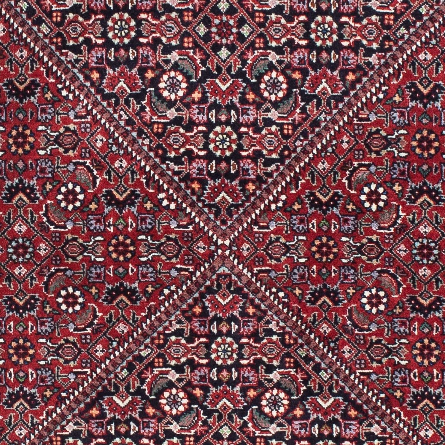 Perserteppich - Bidjar - Royal 223 x 73 cm - rot - Image 2