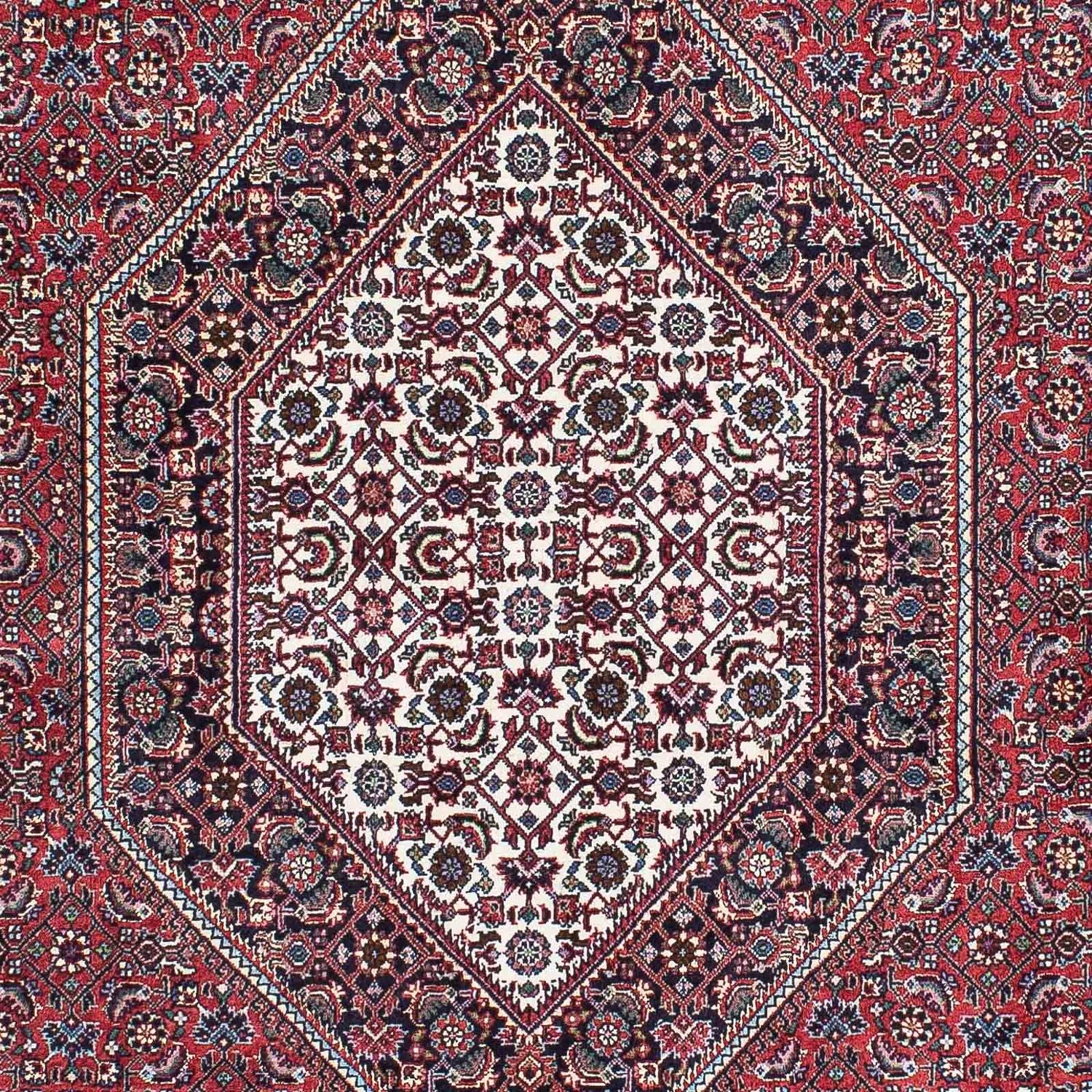 Perserteppich - Bidjar - Royal 225 x 128 cm Teppich Läufer - Image 2