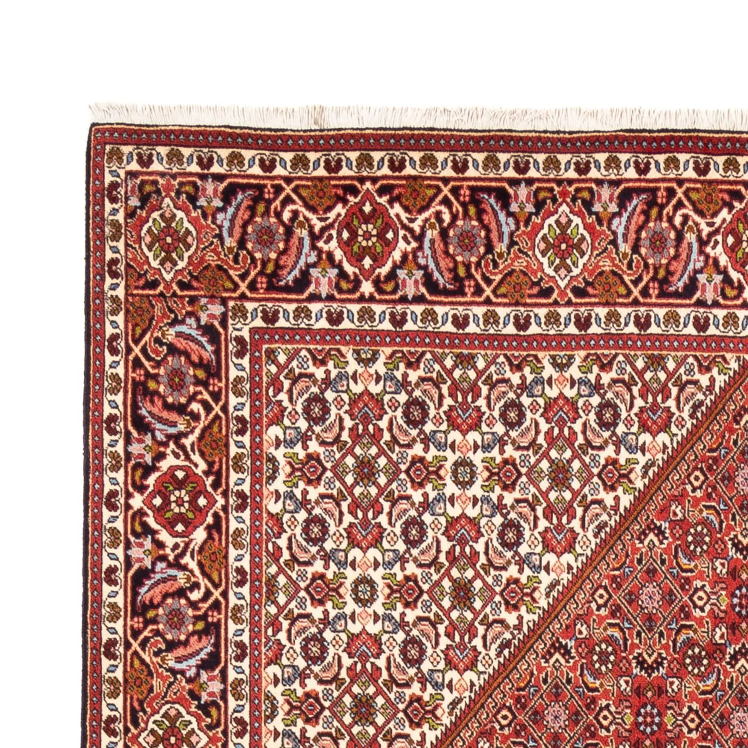 Bidjar - Bukan Teppich 247x172cm - Perserteppich - Image 3