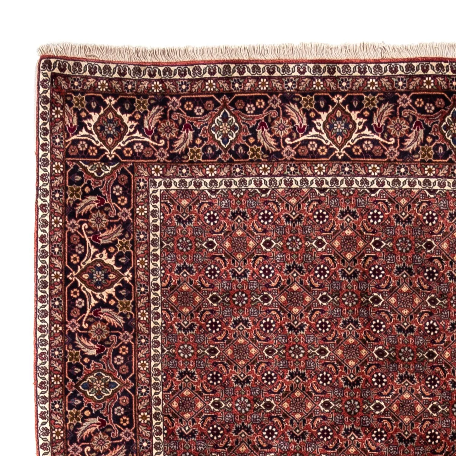Perserteppich - Bidjar - Royal 293 x 200 cm - rot - Image 3