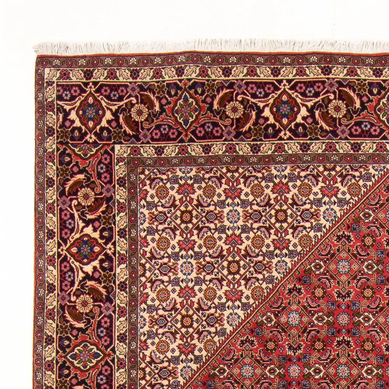 Bidjar - Bukan Teppich 300x200cm - Perserteppich - Image 3
