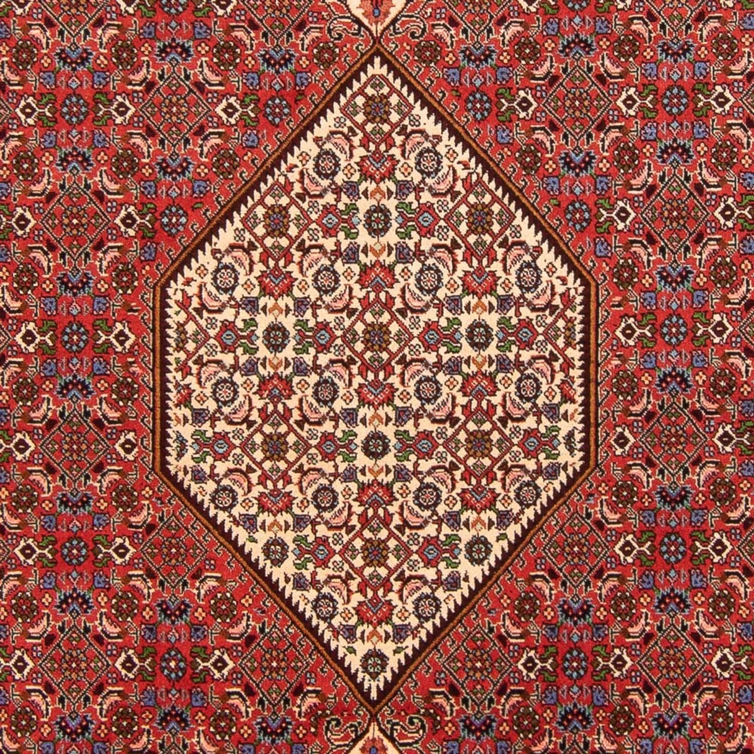 Bidjar - Bukan Teppich 300x200cm - Perserteppich - Image 2