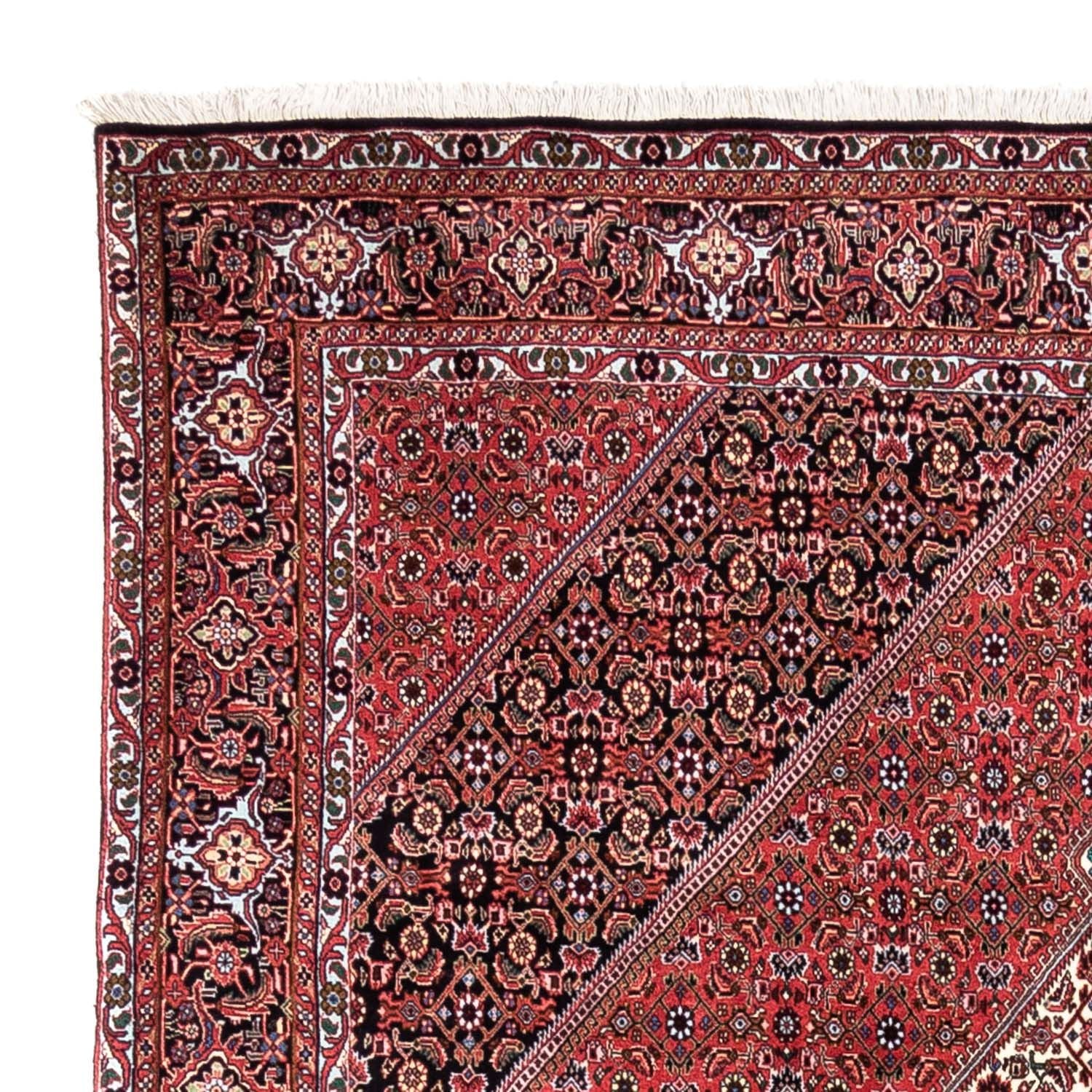 Perserteppich - Bidjar - Royal 300 x 200 cm - rot - Image 3