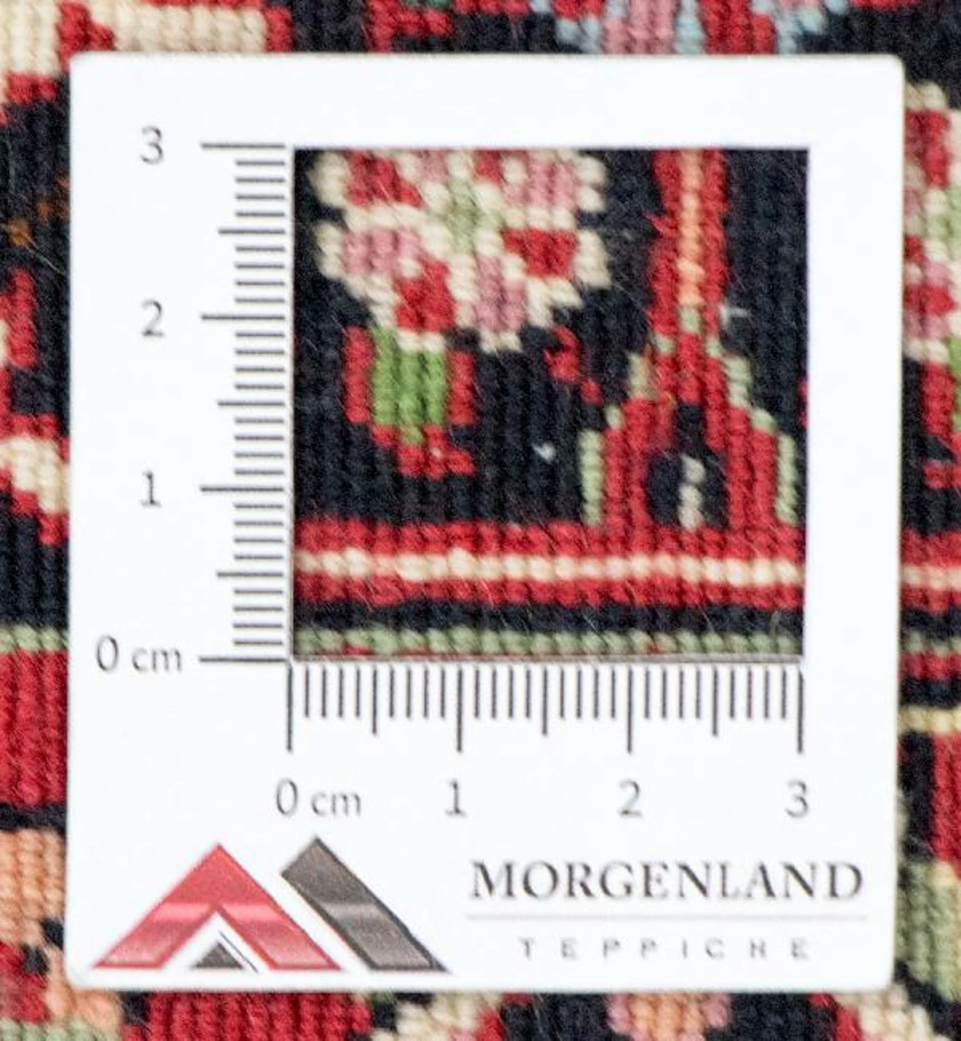 Bidjar - Takab Teppich 310x250cm - Perserteppich - Image 6