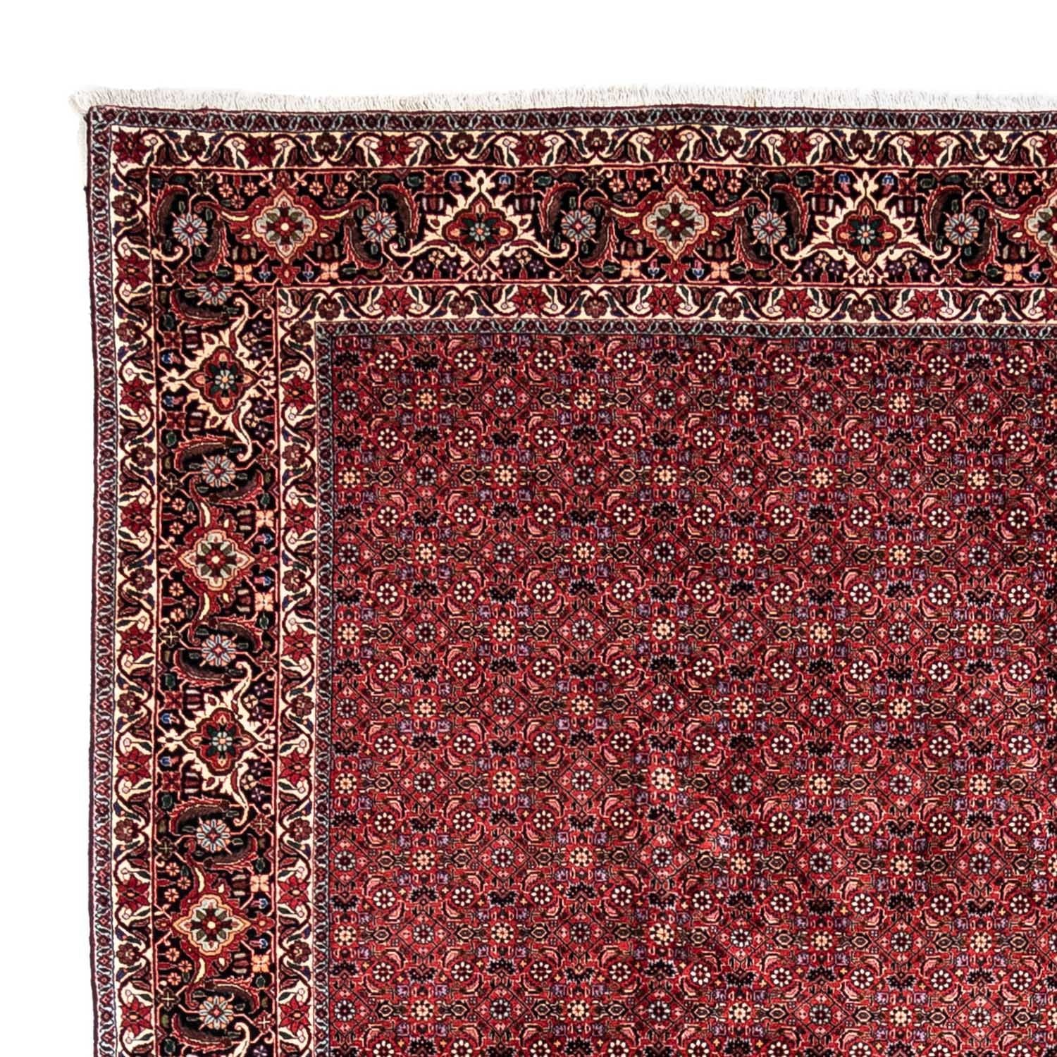 Perserteppich - Bidjar - Royal 338 x 250 cm - rot - Image 3