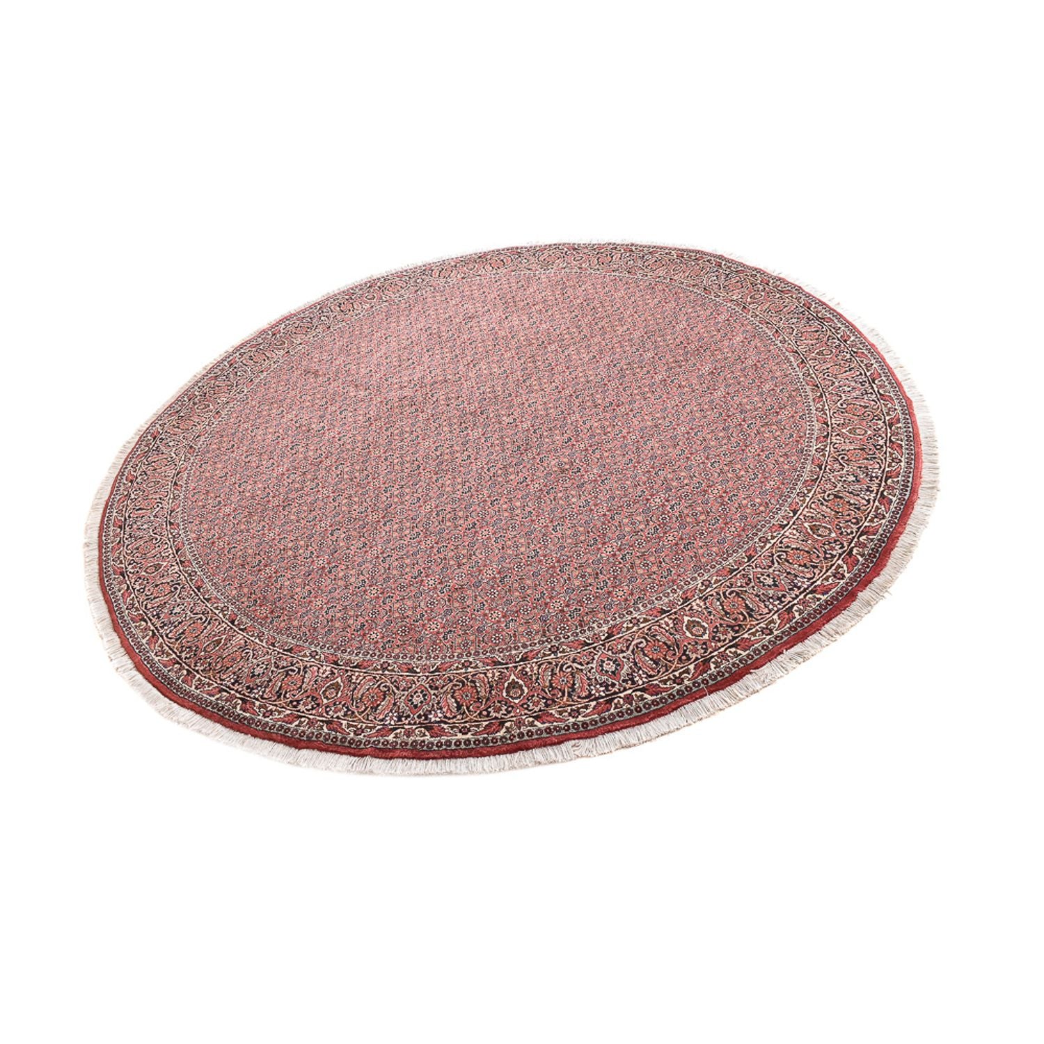 Bidjar Teppich 255x255cm - Perserteppich - Image 5