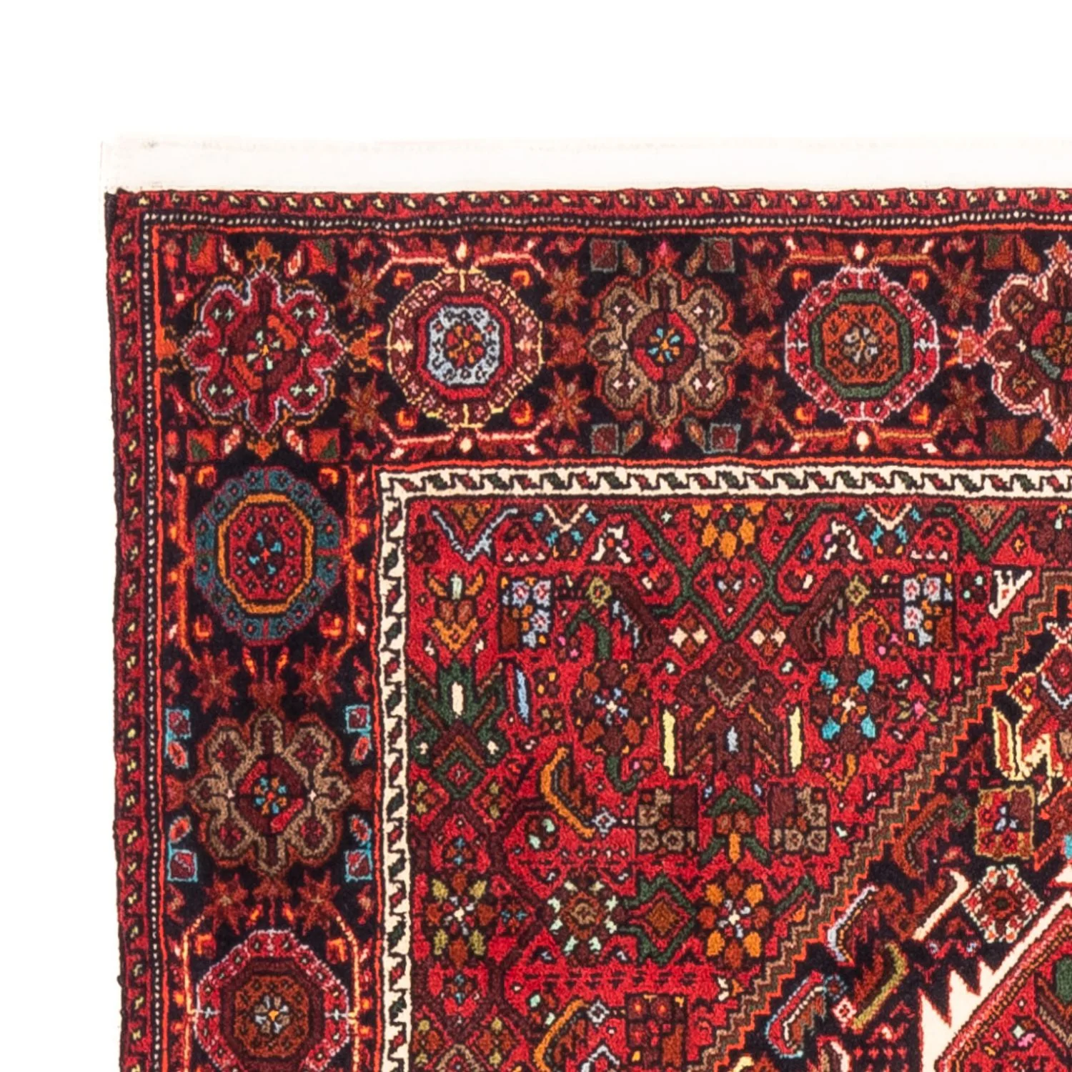 Gholtogh Teppich 157x100cm - Perserteppich - Image 3