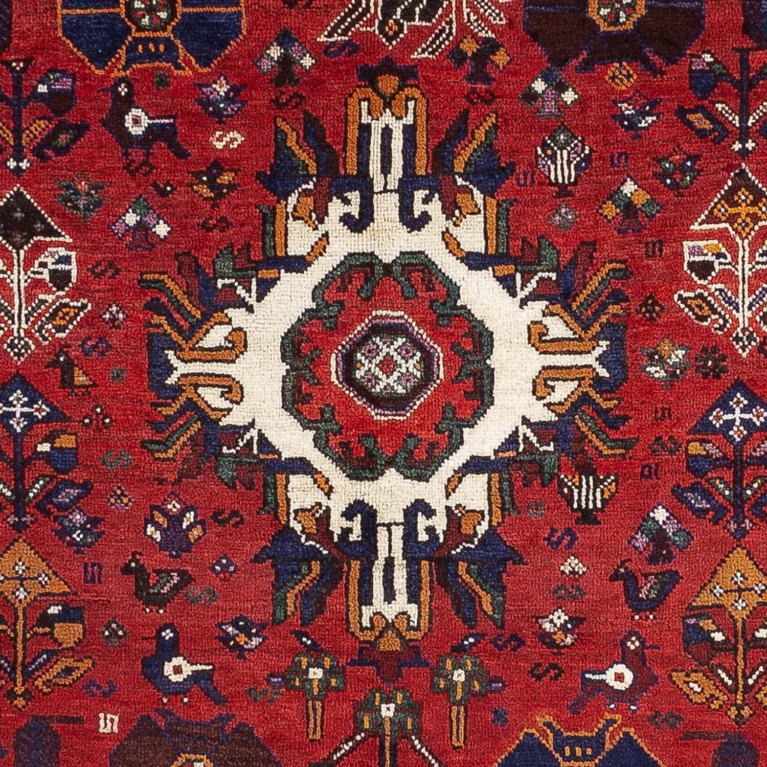 Ghashghai Teppich 245x156cm - Perserteppich - Image 2