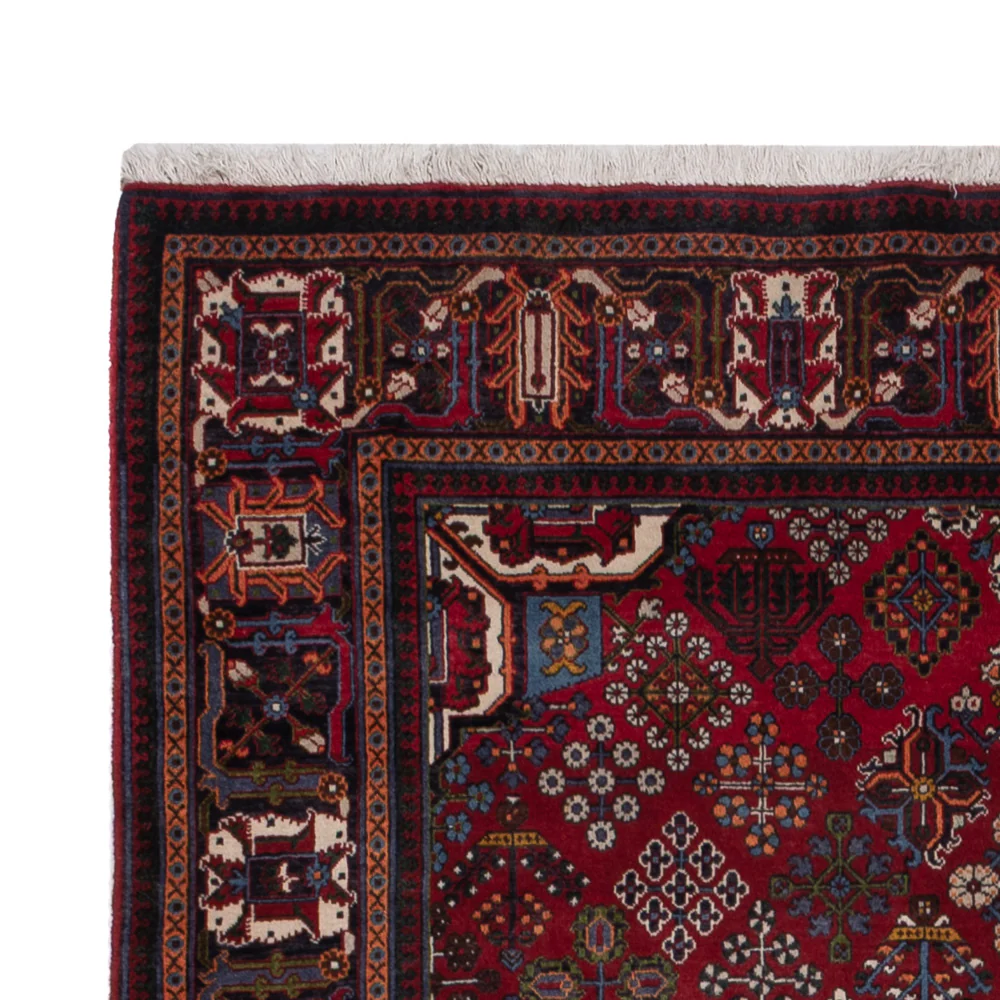 Meymeh Teppich 248x160cm - Perserteppich - Image 3