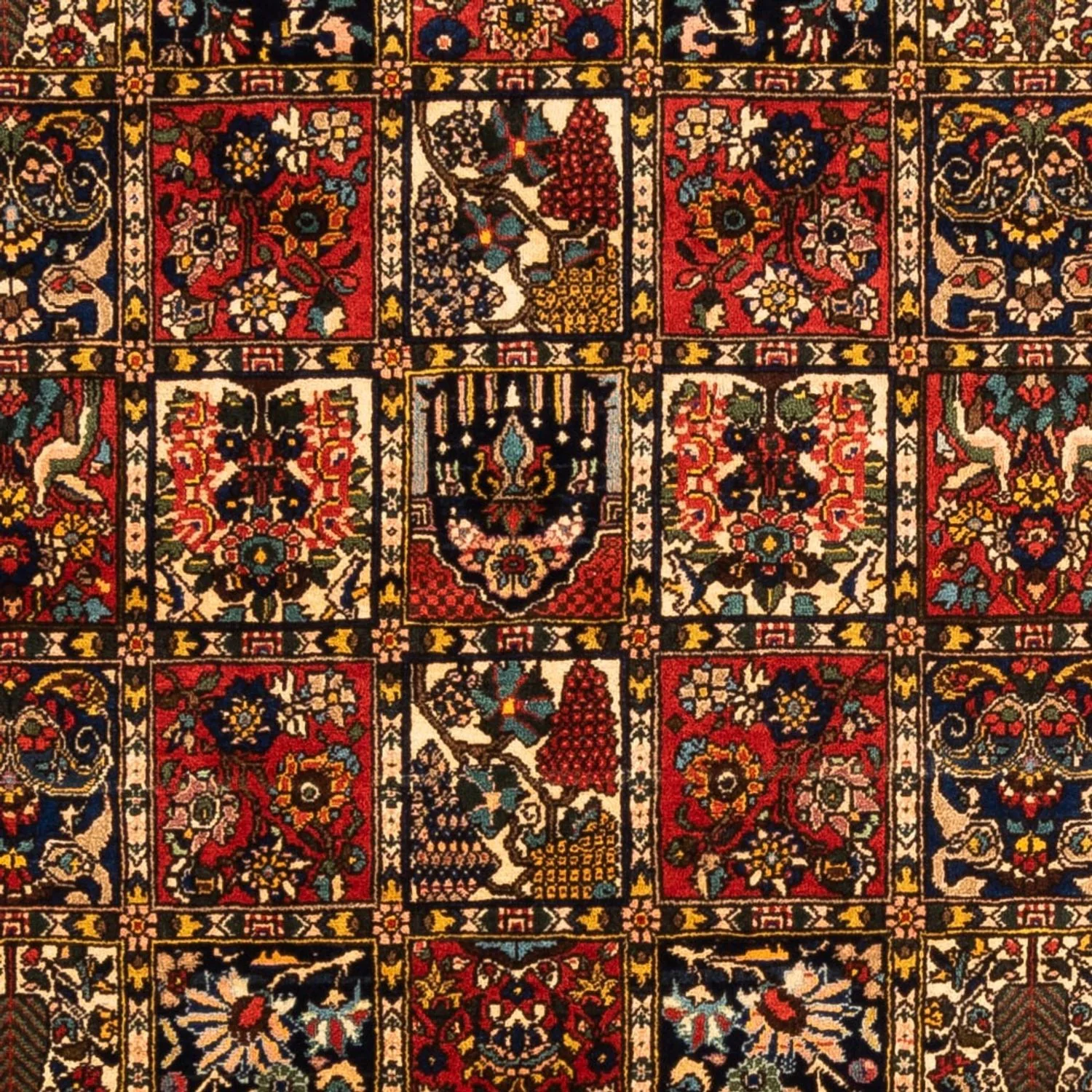Bachtiar Teppich 250x155cm - Perserteppich - Image 2