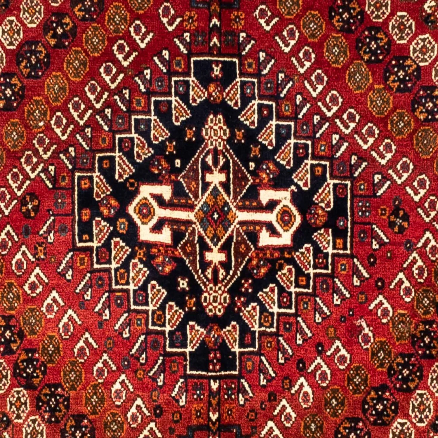 Ghashghai Teppich 255x160cm - Perserteppich - Image 2
