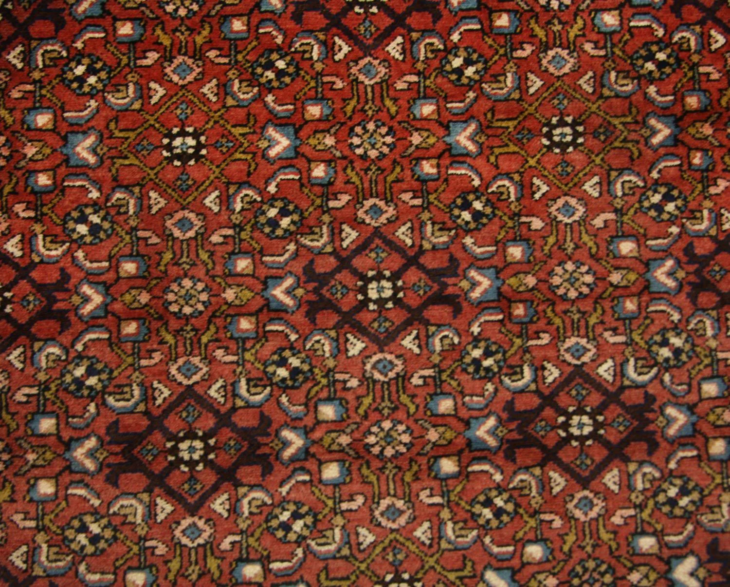 Perserteppich - Nomadic 280 x 115 cm - braun - Image 2