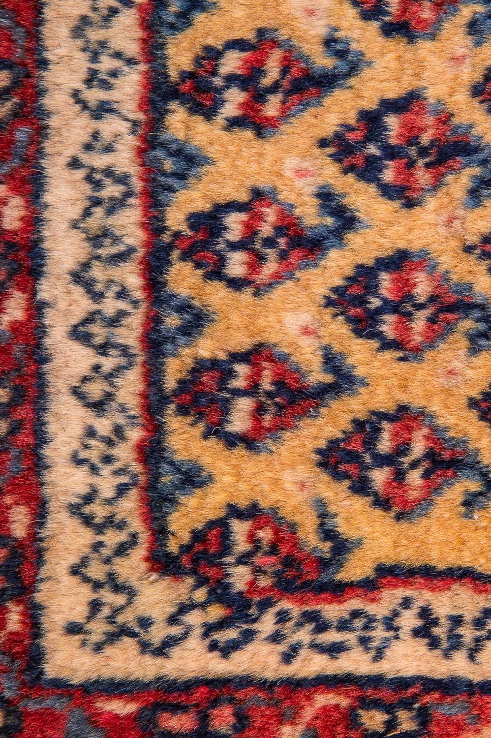 Kolyai Teppich 288x238cm - Perserteppich - Image 4
