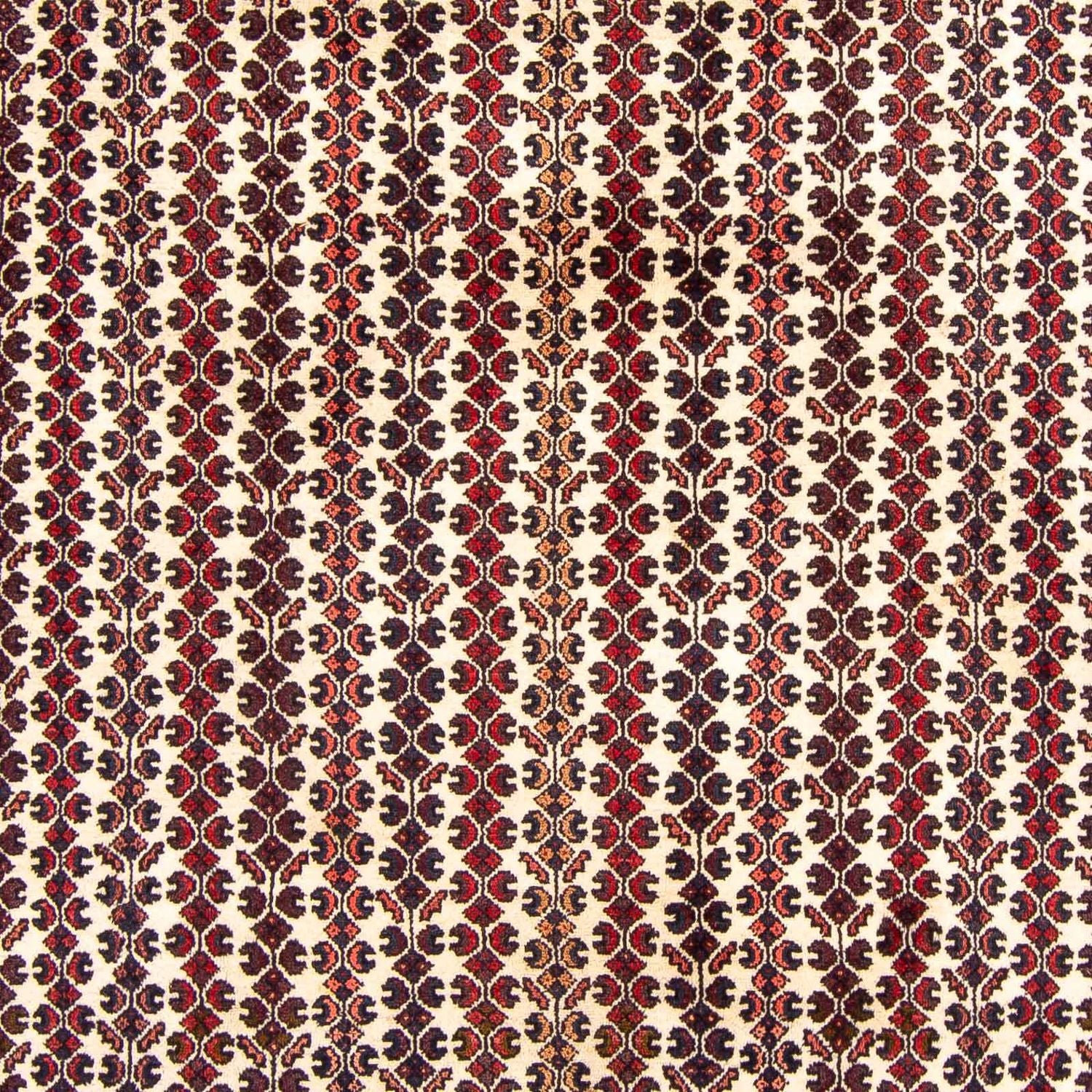 Kolyai Teppich 310x210cm - Perserteppich - Image 2