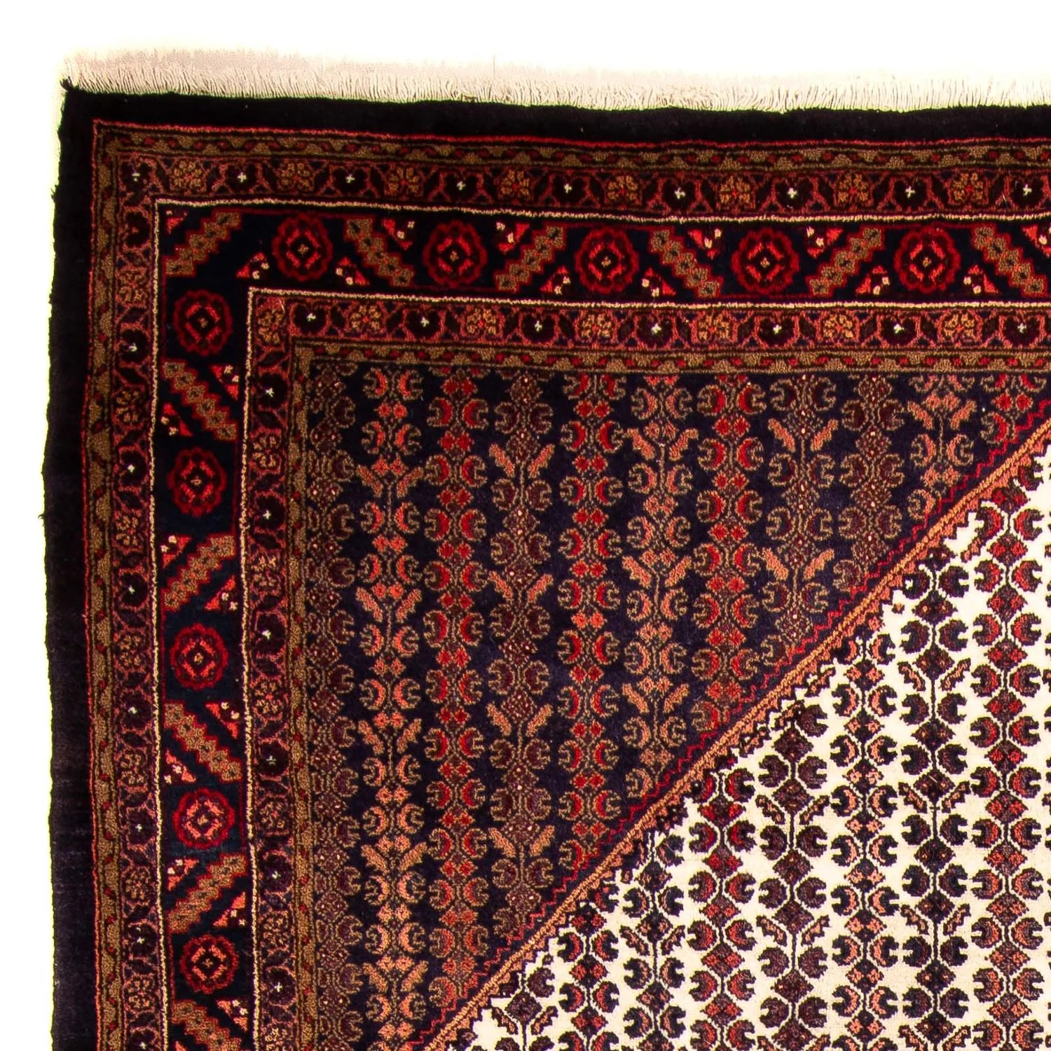 Kolyai Teppich 310x210cm - Perserteppich - Image 3