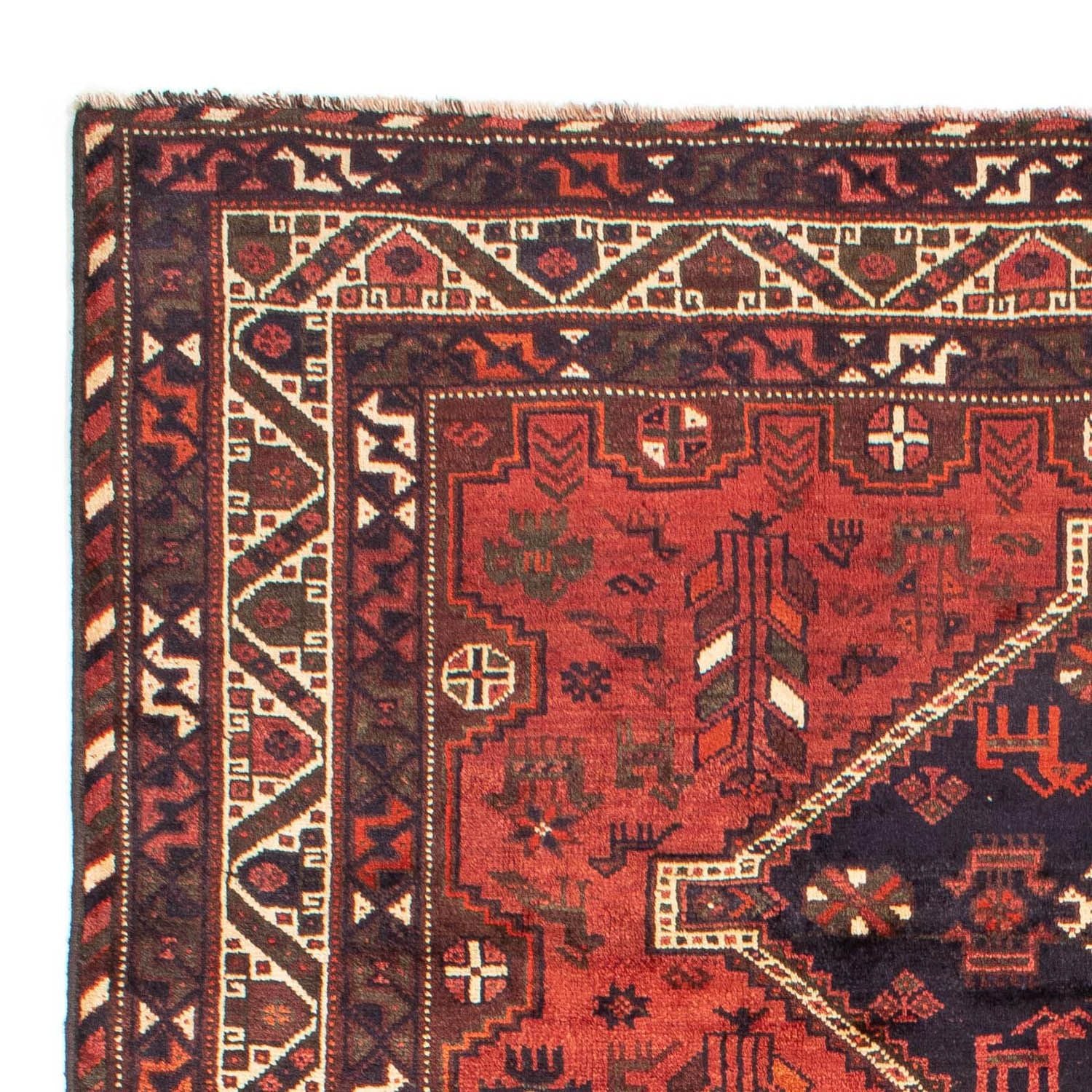 Perserteppich - Nomadic 312 x 221 cm - dunkelrot - Image 3