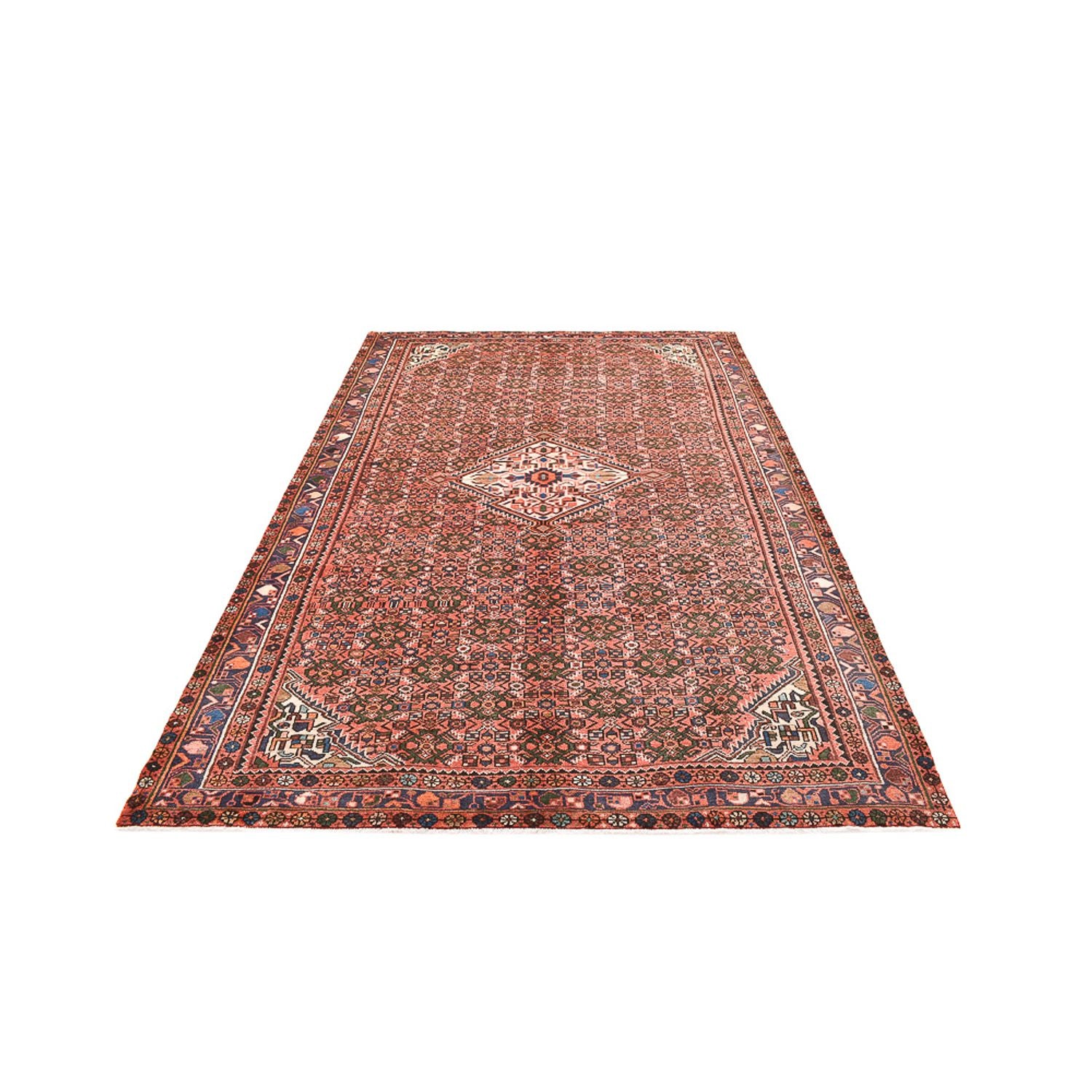 Perserteppich - Nomadic - 314 x 203 cm - terrakotta - Image 5