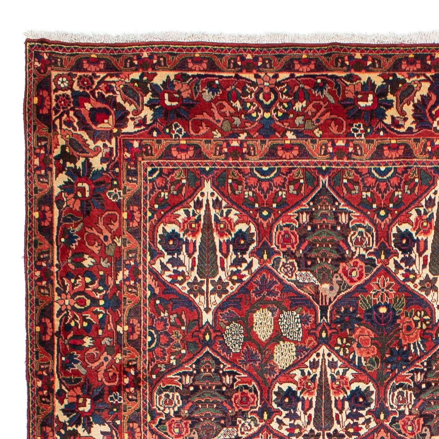 Perserteppich - Nomadic 323 x 210 cm - dunkelrot - Image 3