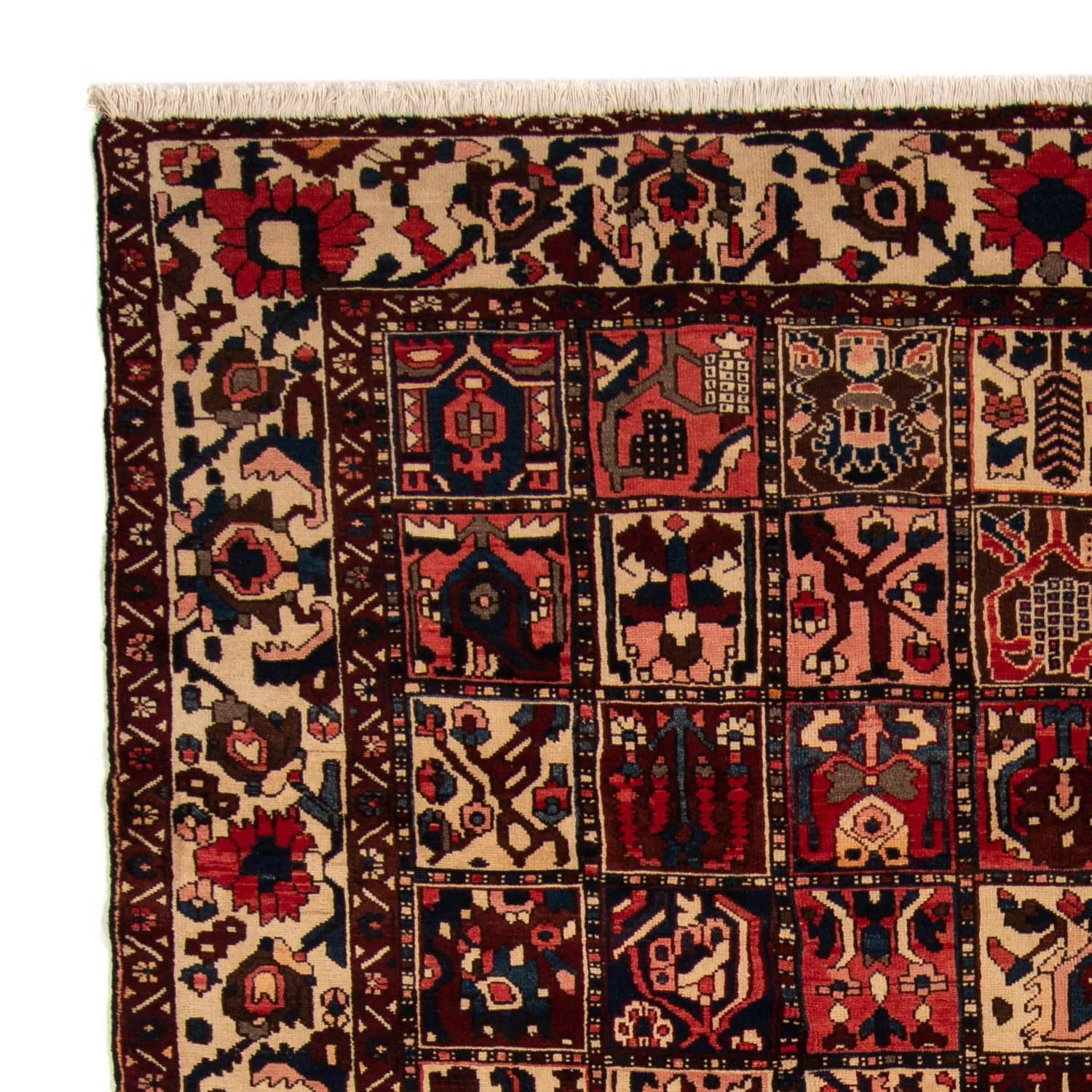 Perserteppich - Nomadic 337 x 258 cm - dunkelrot - Image 3