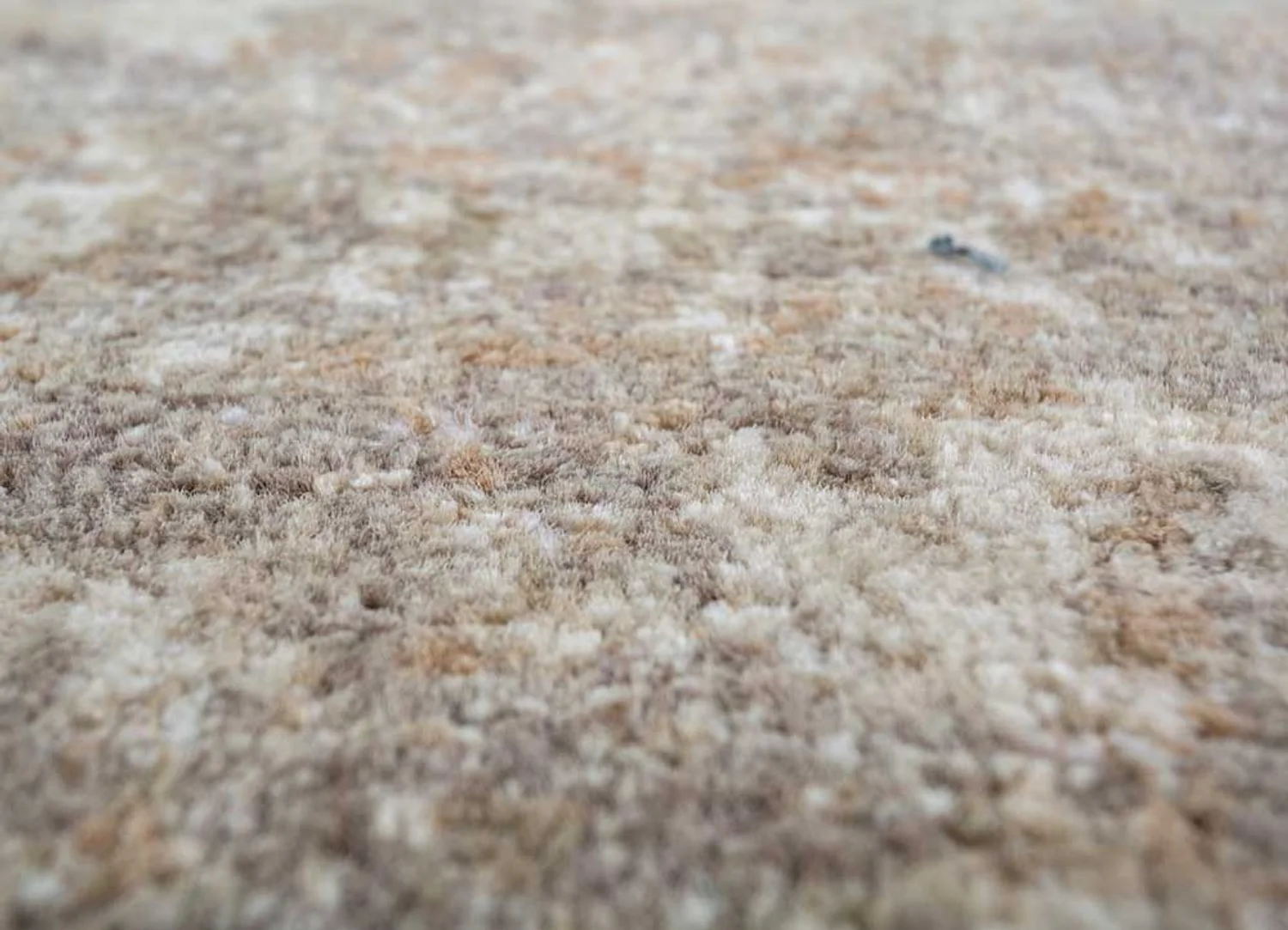 Teppich - 300 x 240 cm - dunkelbeige - Image 4